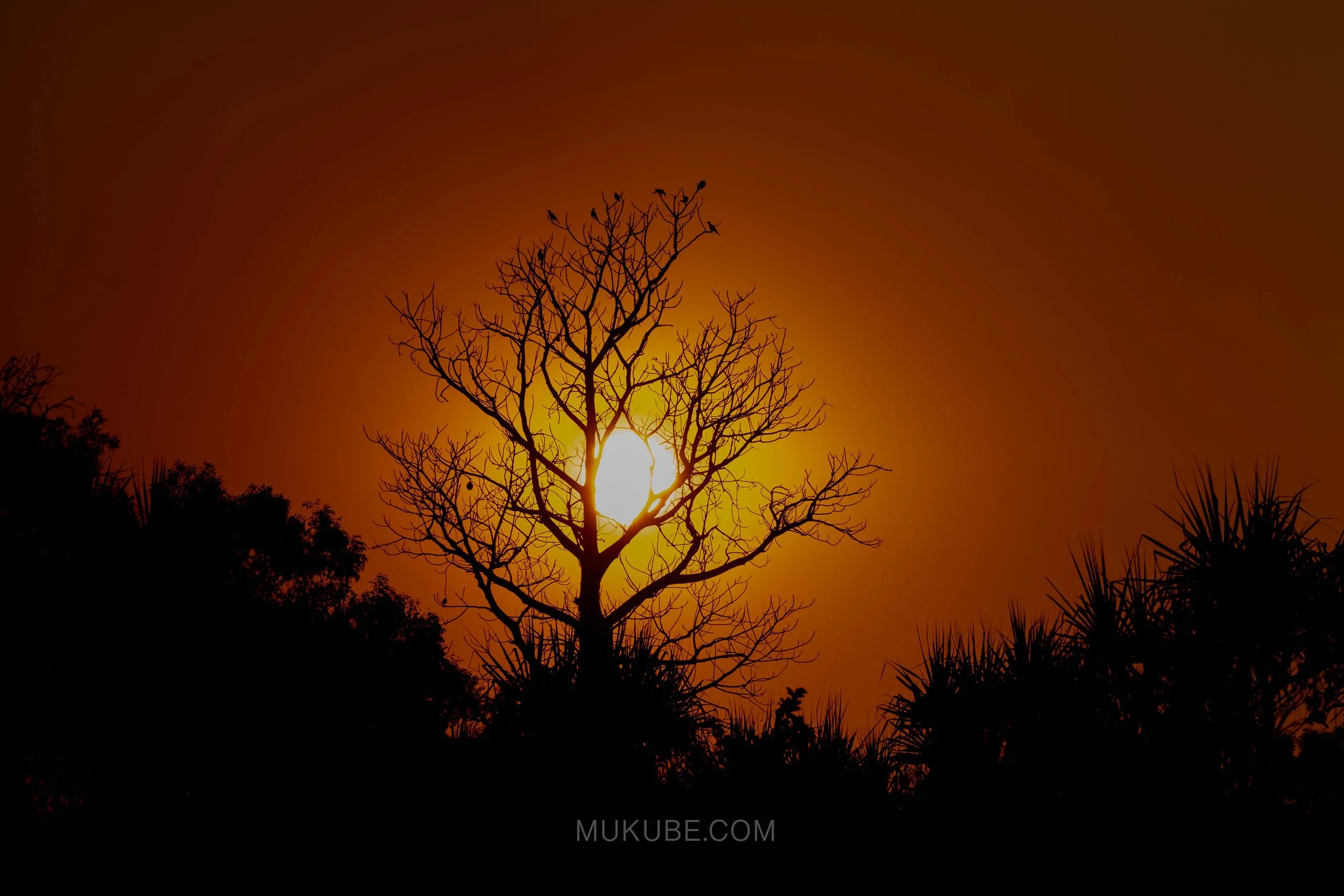 Sunsets in the Kimberly