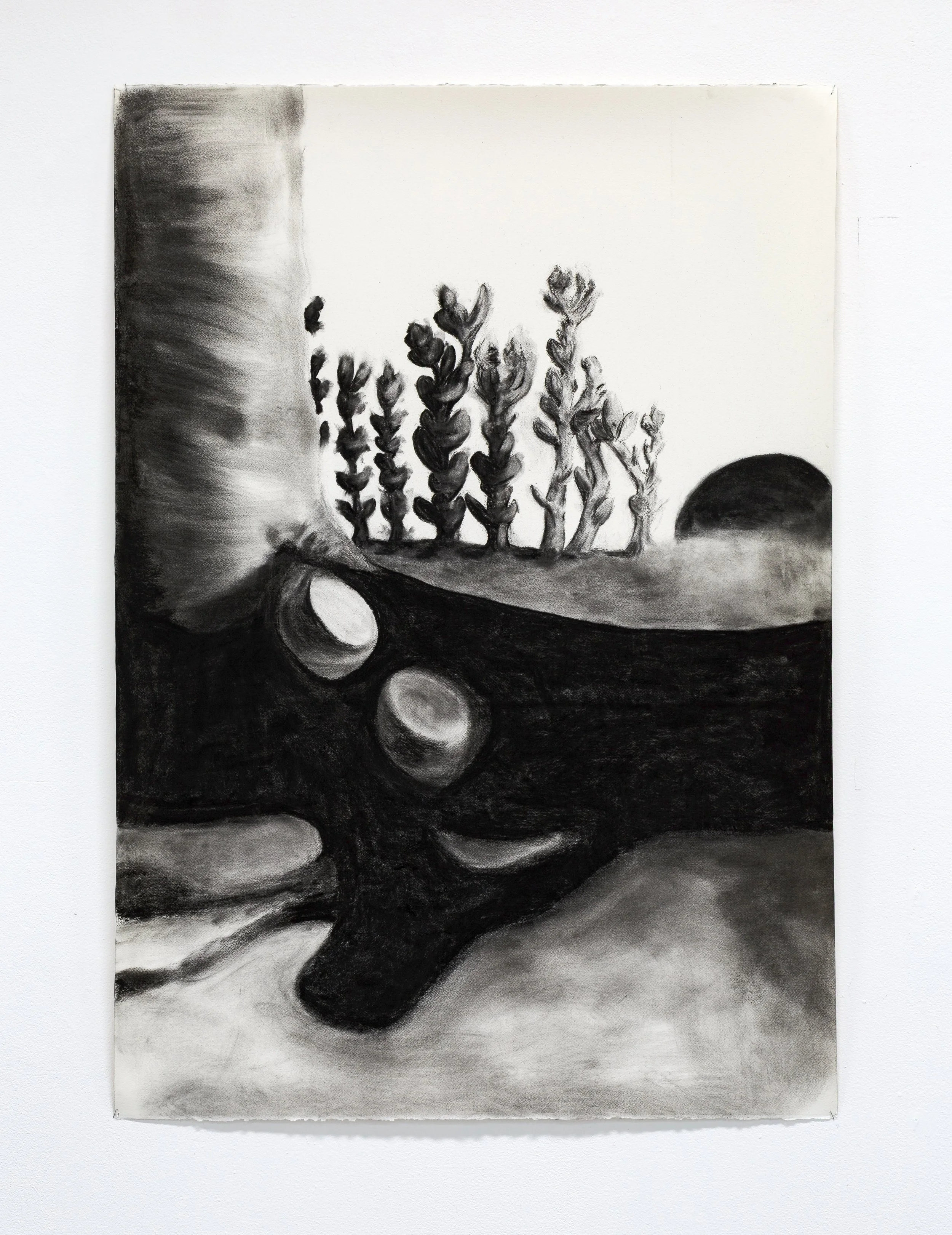 I skumringen kjennes pusten varm 2 /
By dawn the breath feels warm 2
Charcoal on paper, 113 cm x 80 cm 2025
