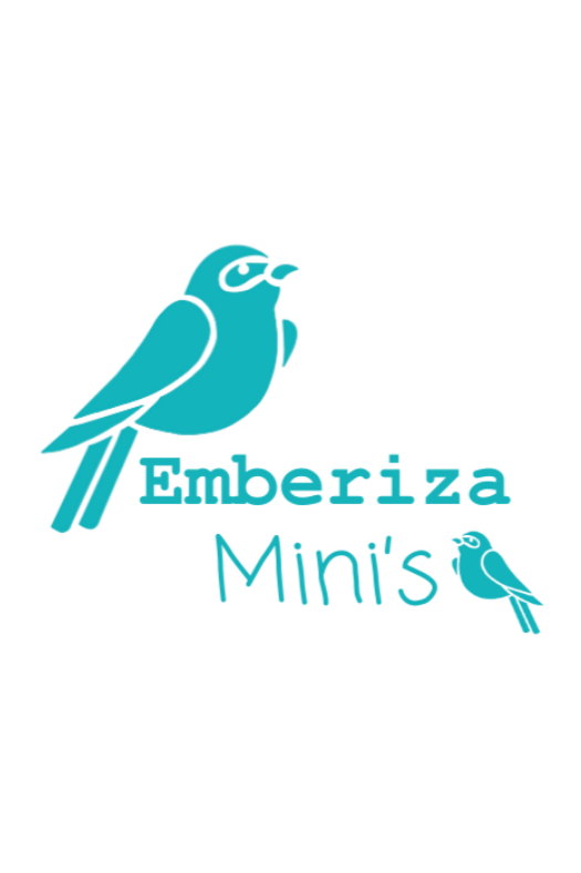 Paediatric First Aid - Skills For parents (Ipswich)