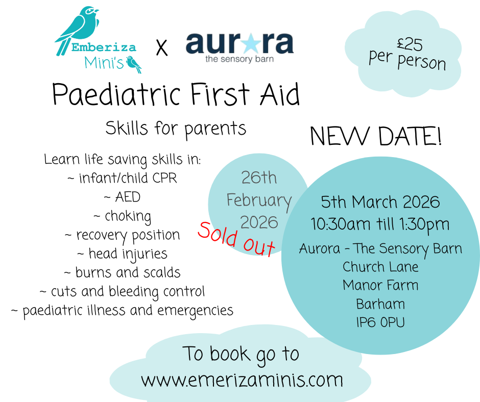 Aurora Collaboration - Paediatric First Aid Skills for Parents