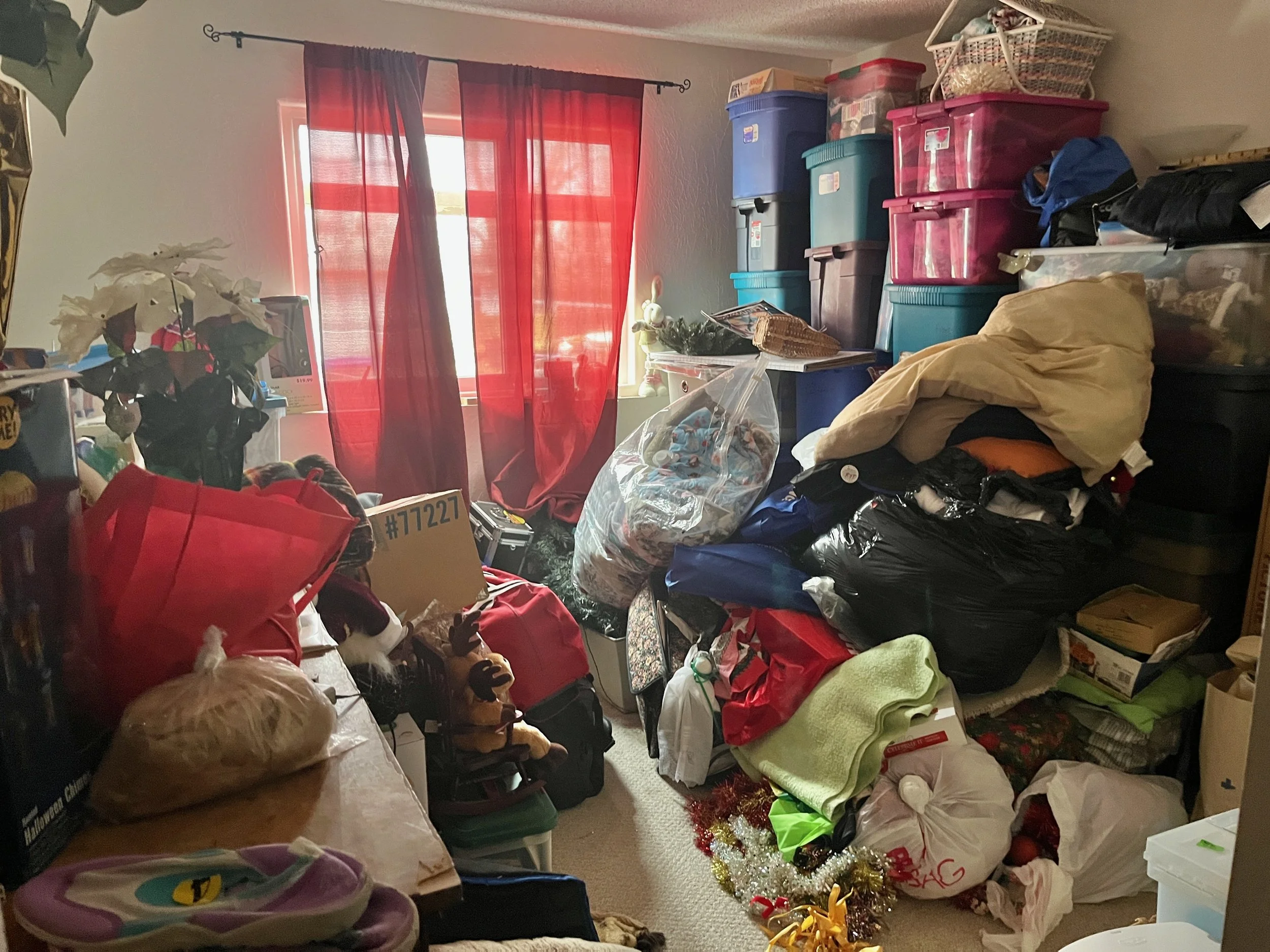 Guest Bedroom Before Clear-Out