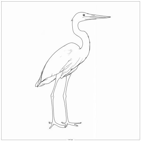 IMG_0394.png