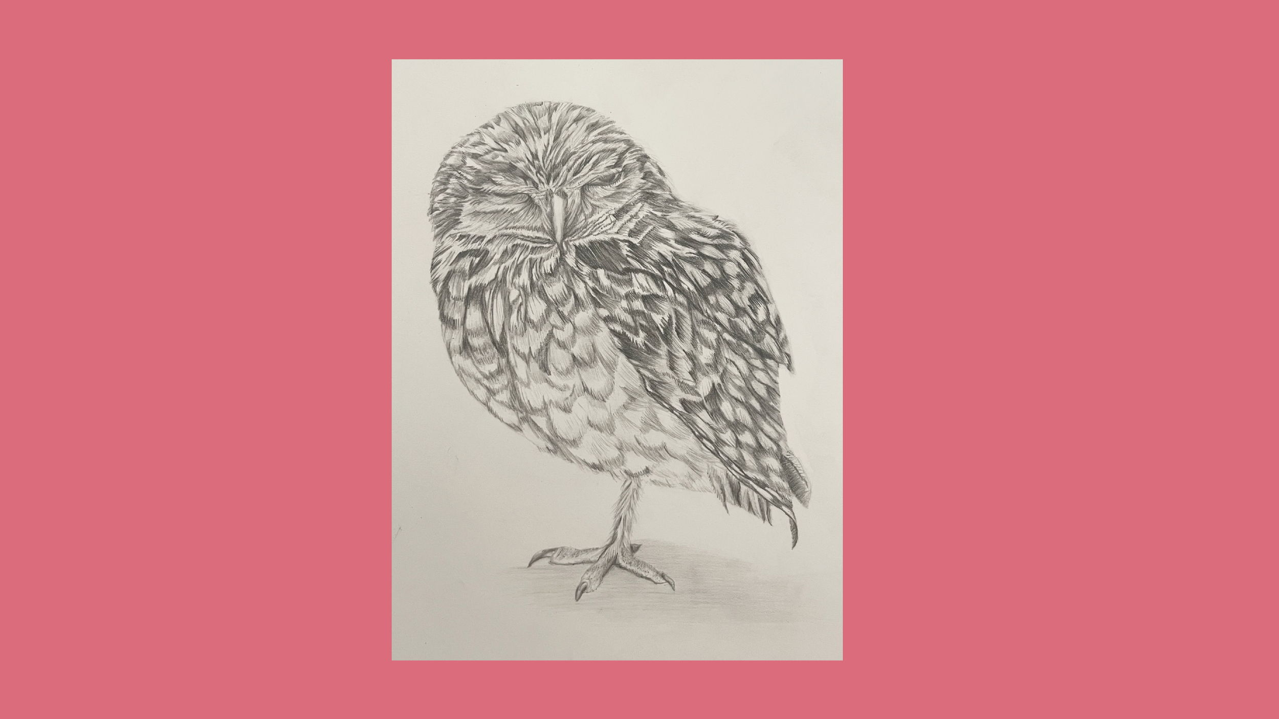 Winking Owl, 11x17", Graphite.  (Sold)