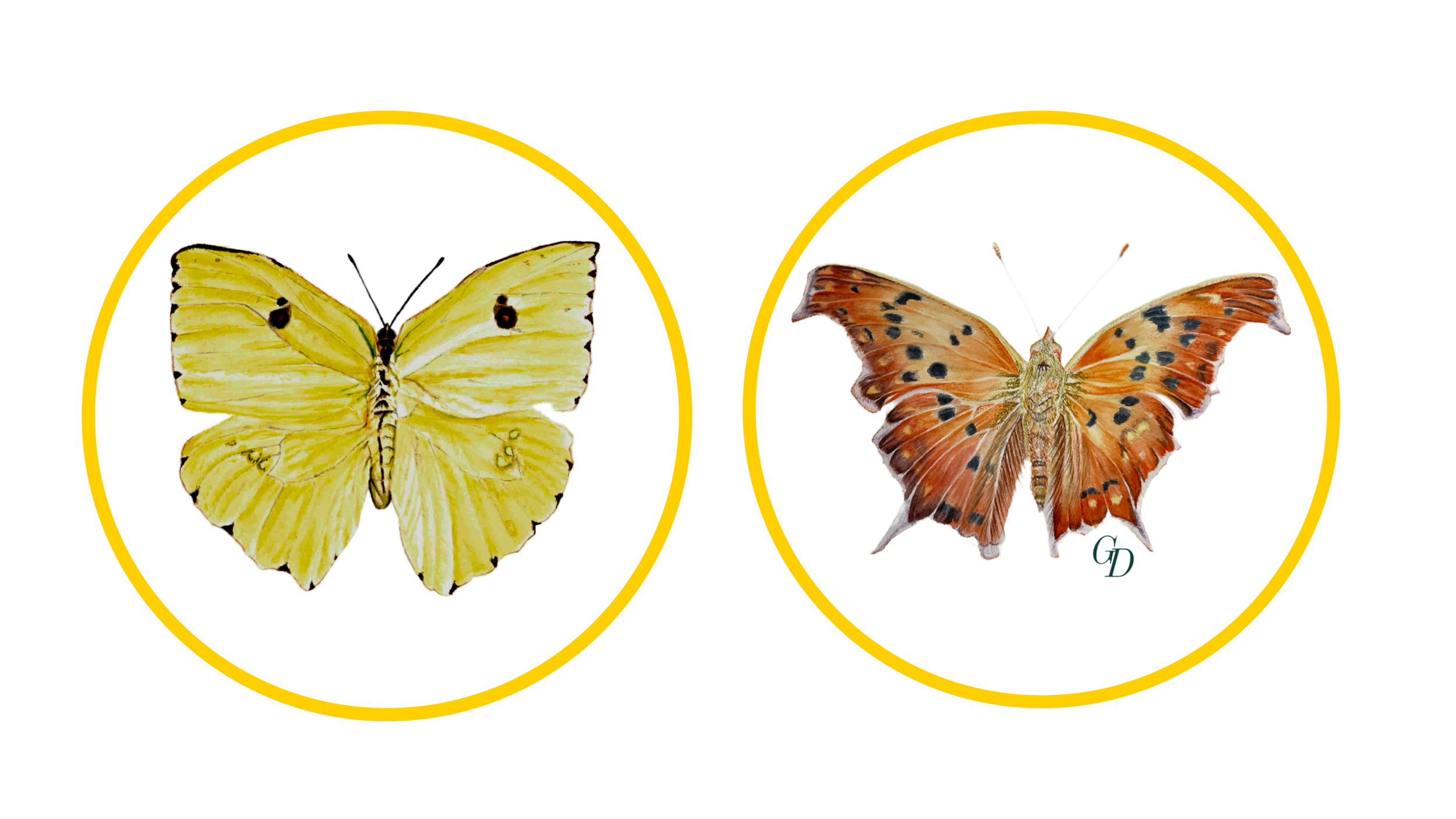 Pollinators of TX, Digital Print of original art. $ Price varies on size.