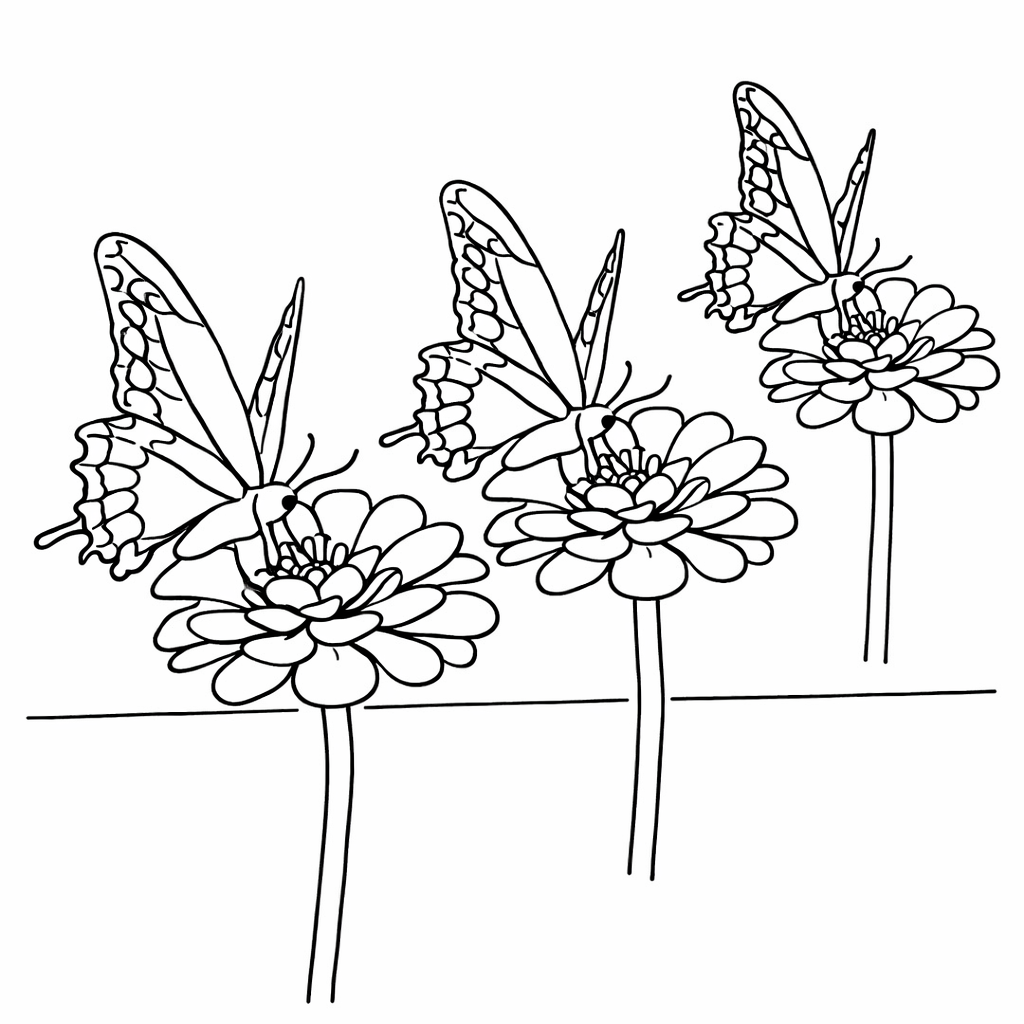 Coloring page - Swallowtail butterfly