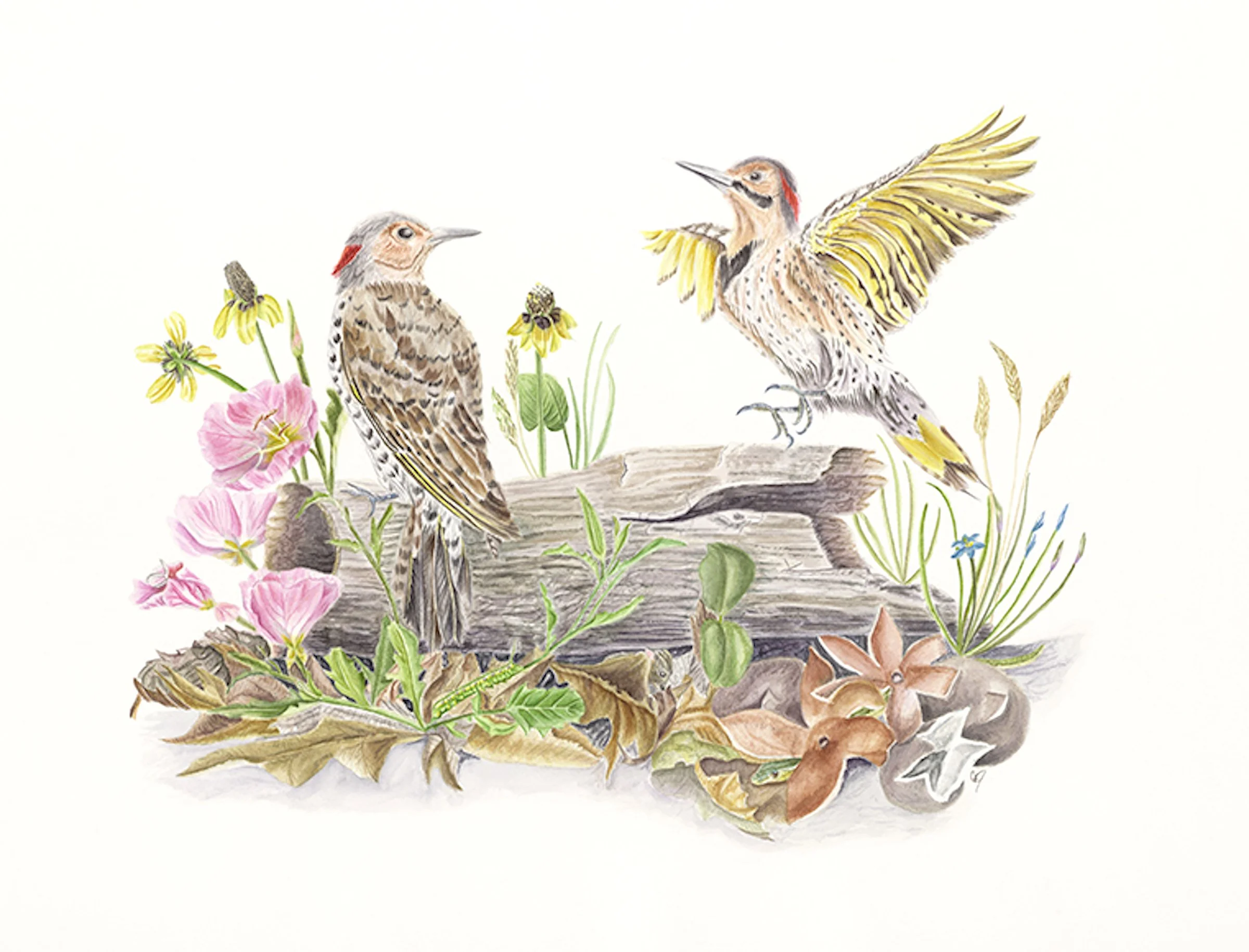 The Woodland's Country Club, 17x22, Watercolor.  $400.