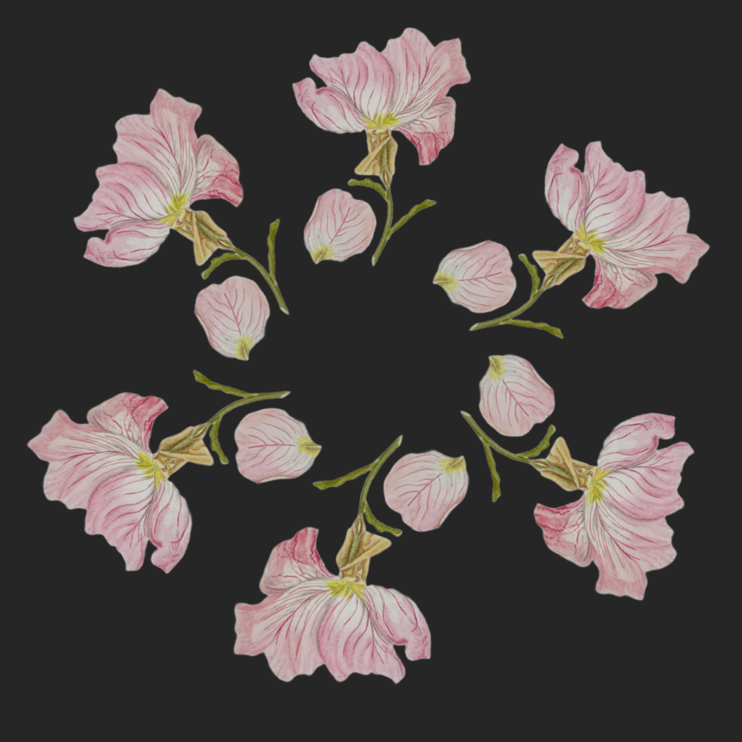 Digital Print,  Price varies by size.