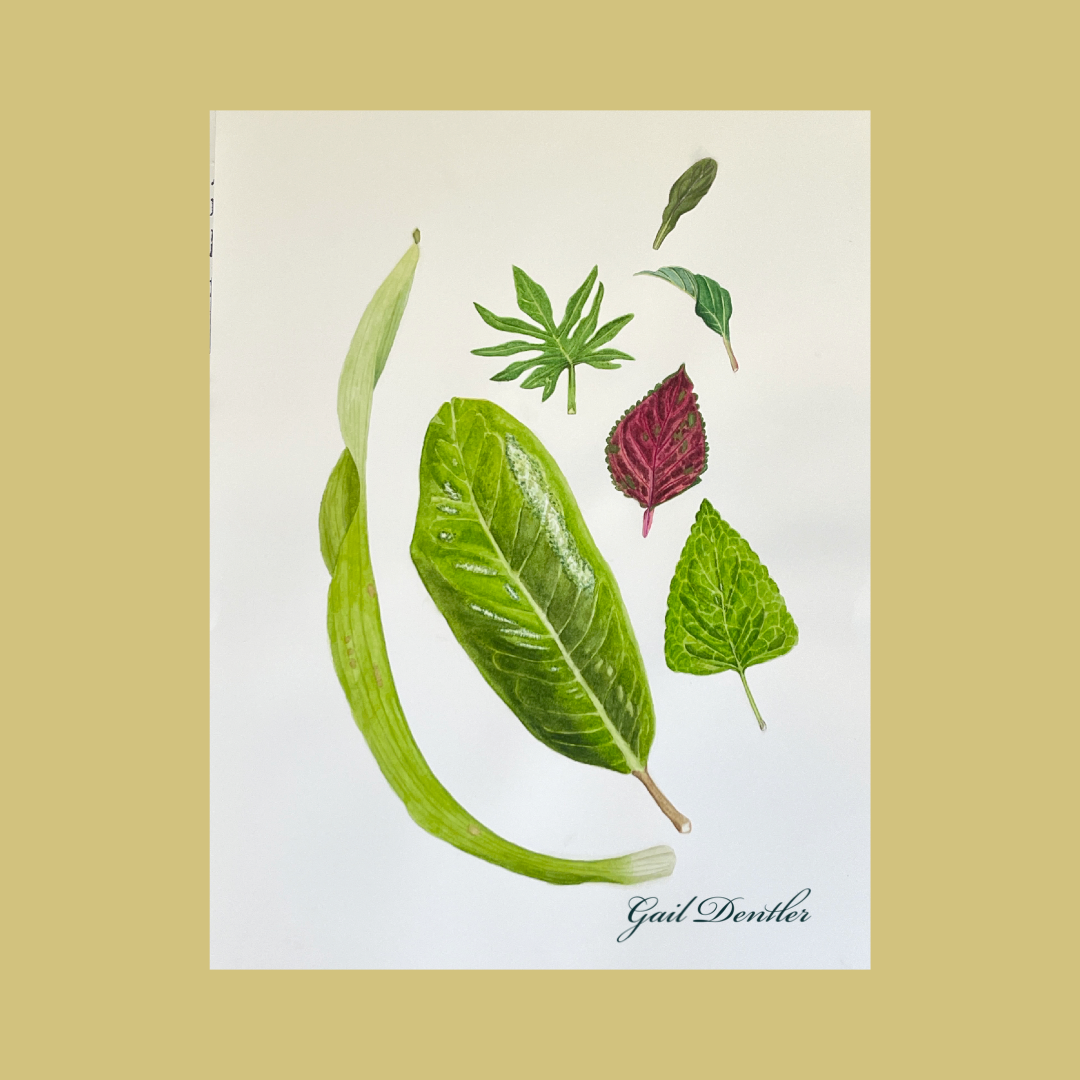 Leaves from my Garden, 11x17", Watercolor. (Sold)