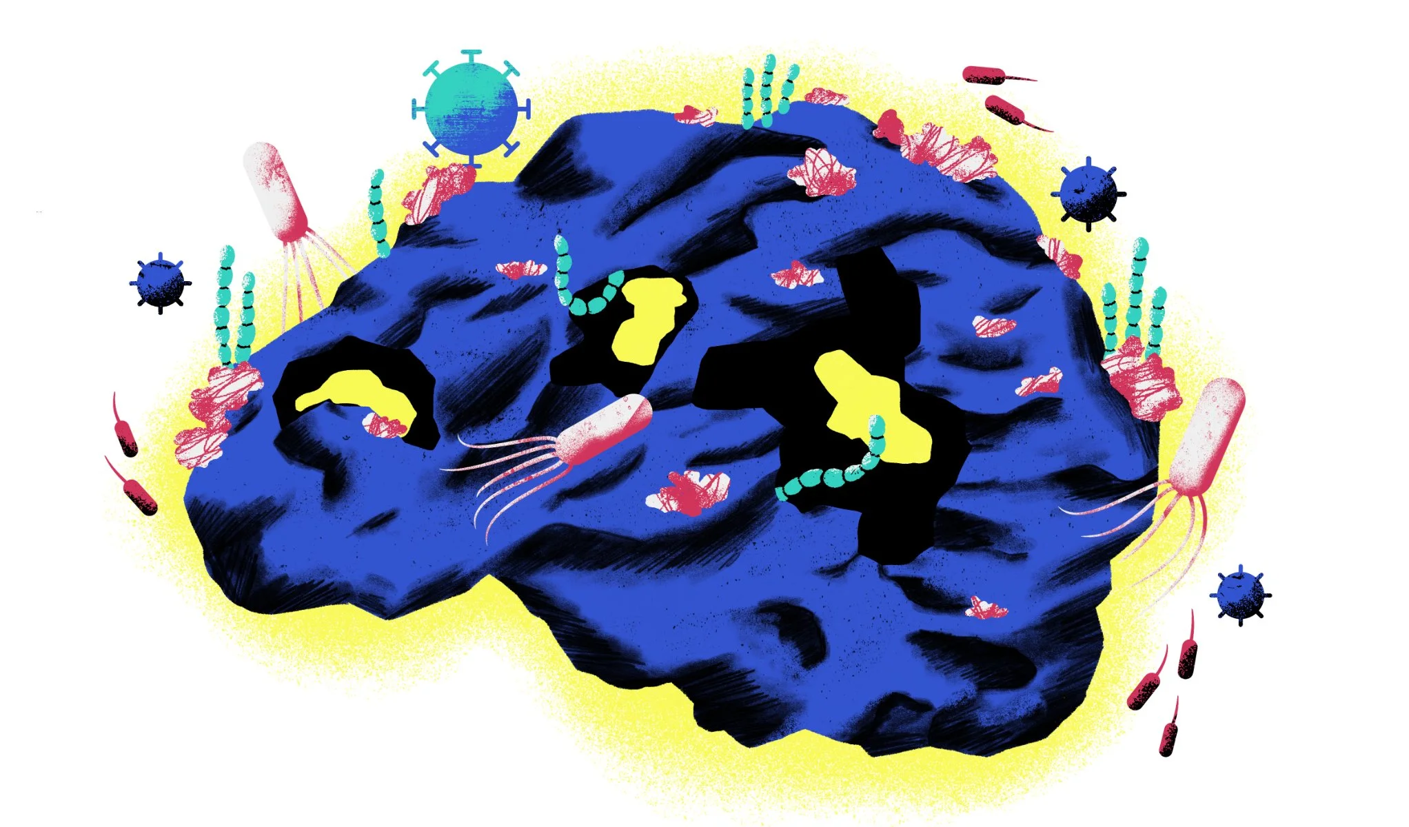 Spot illo