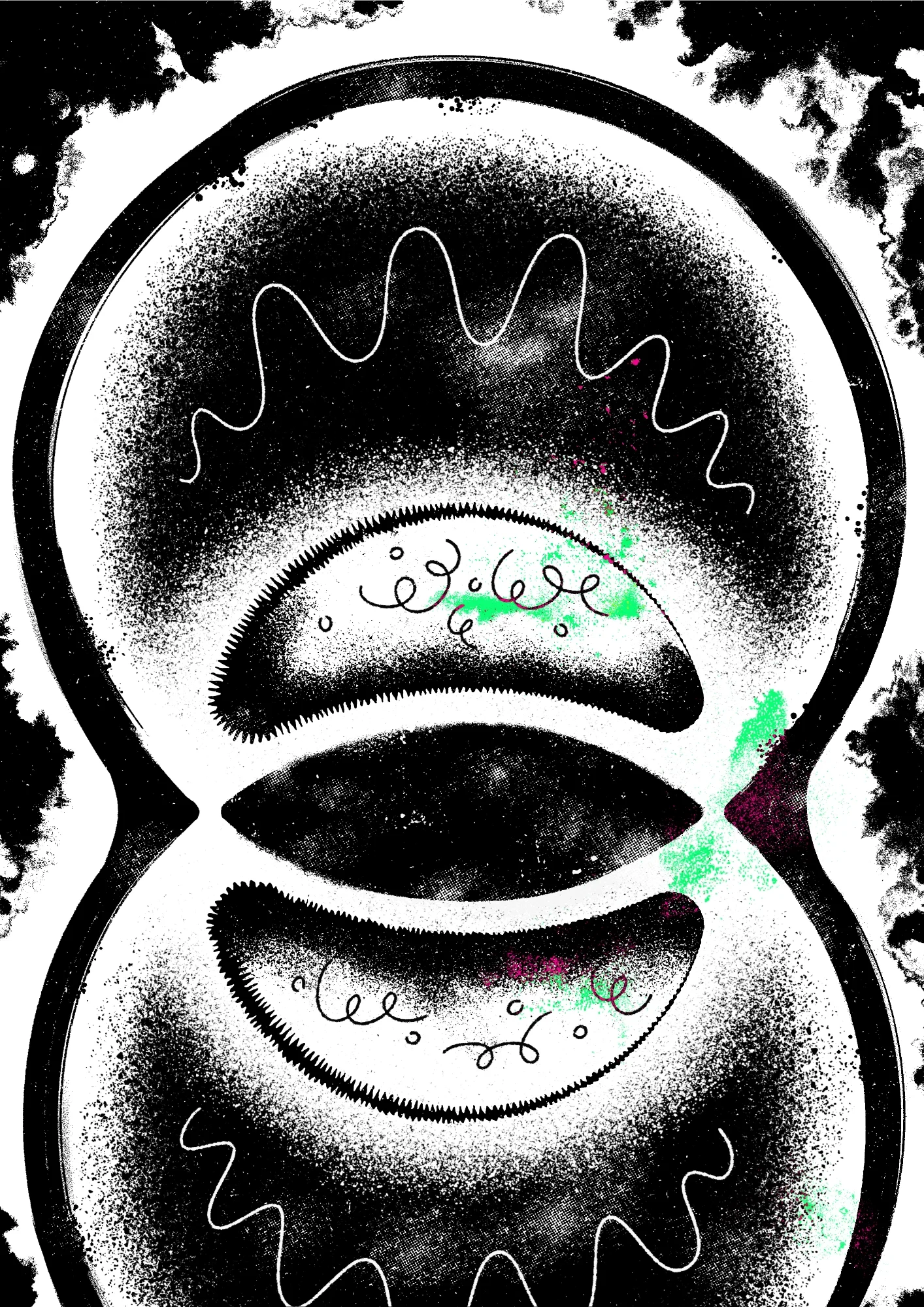 Cell division