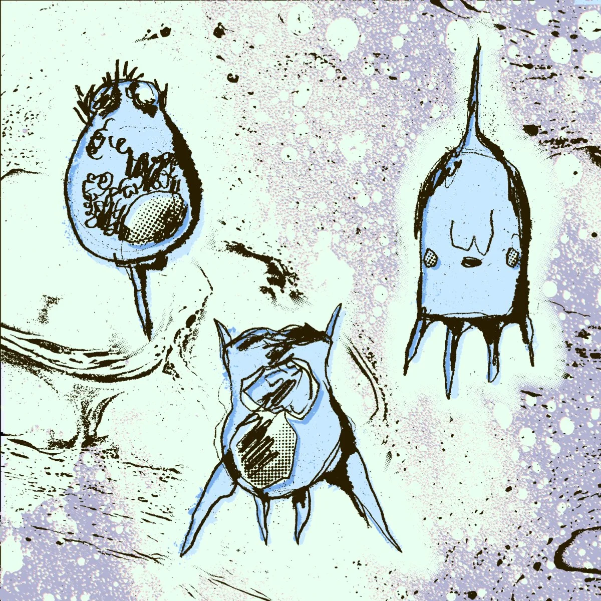 Rotifers