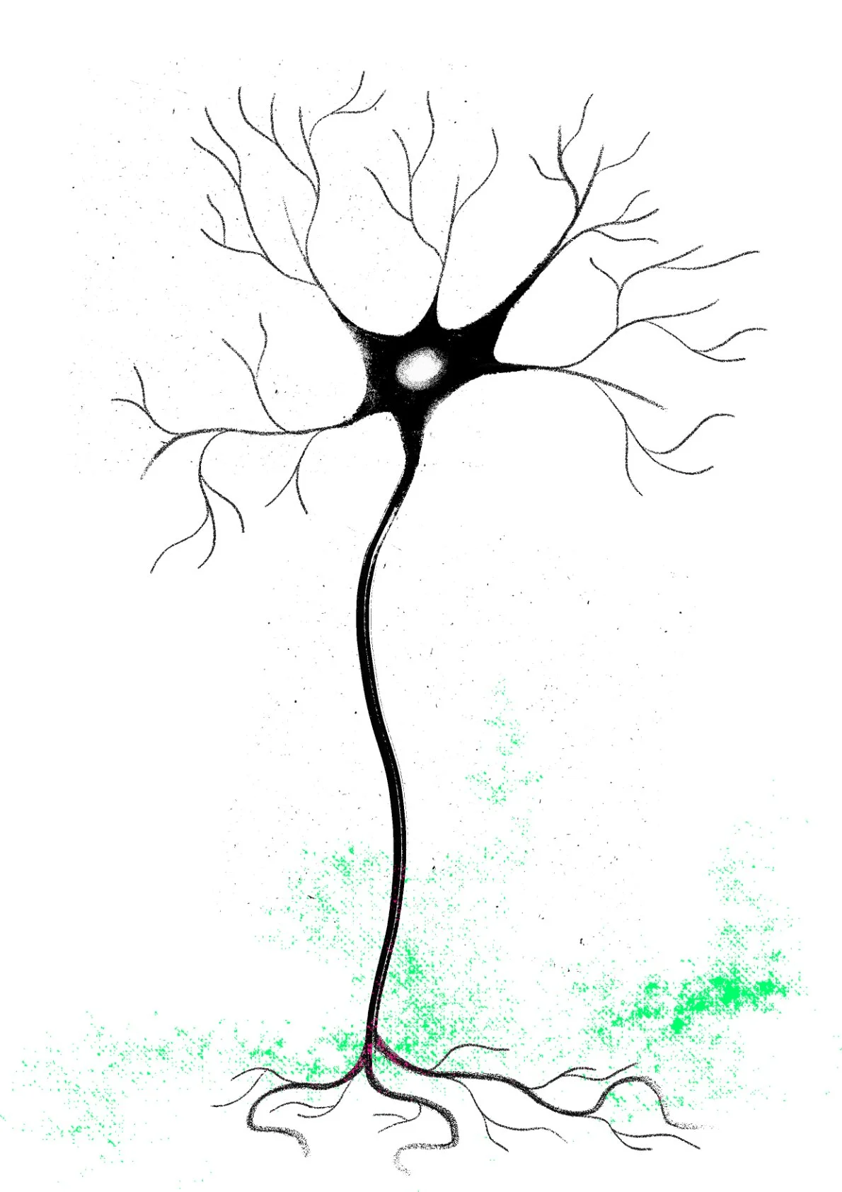 Plant Intelligence