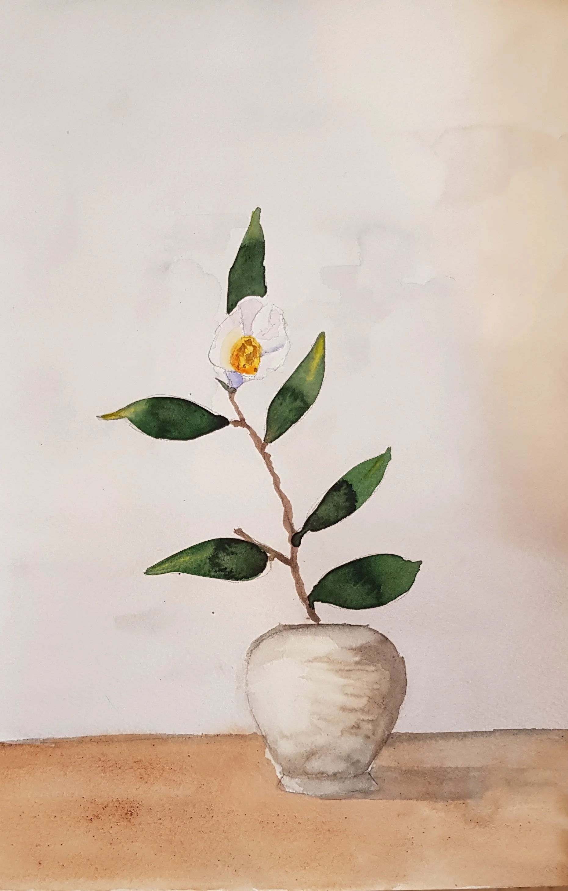 20181107_201131.jpg