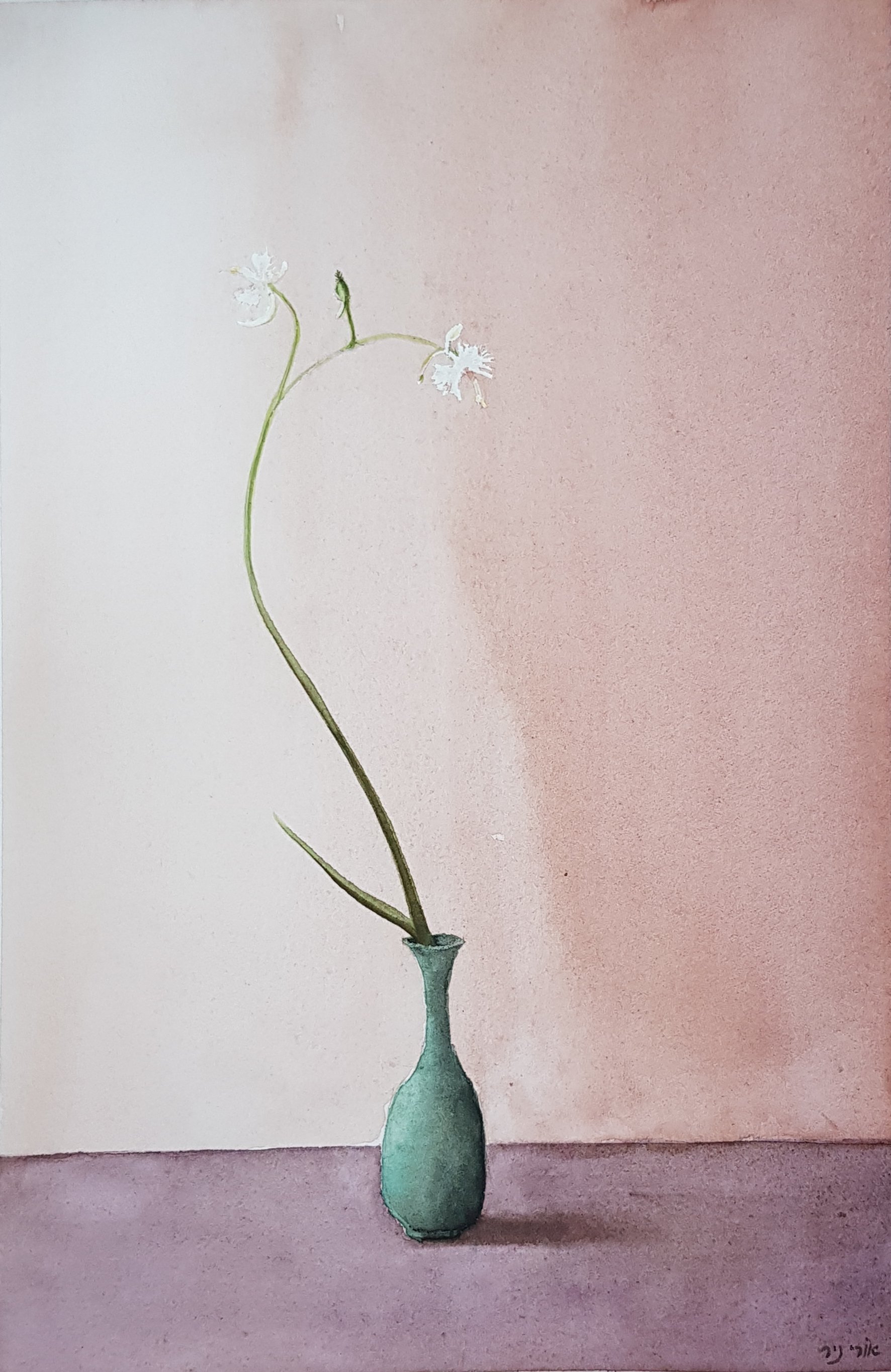 20201231_154257.jpg