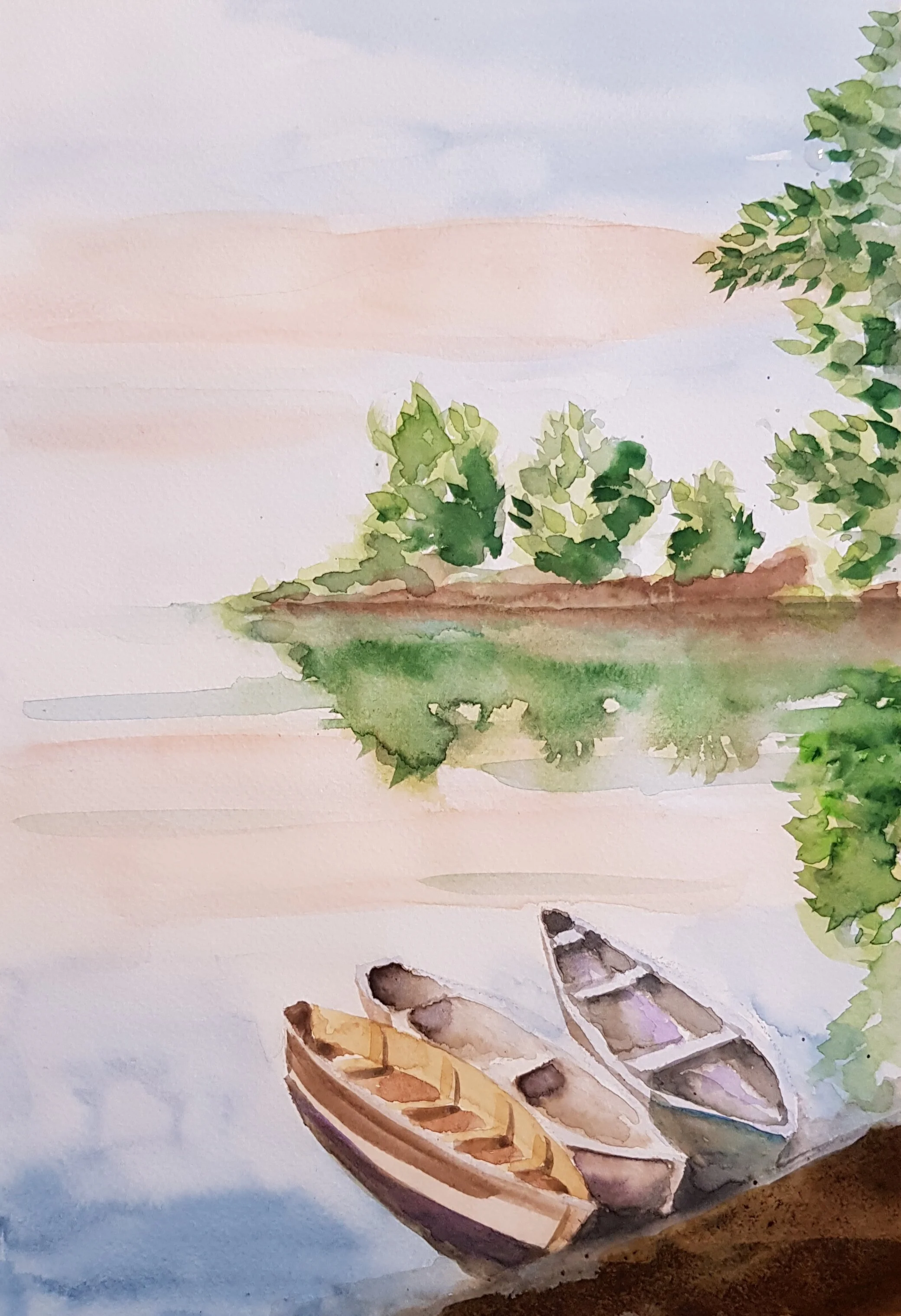 20180730_122705.jpg