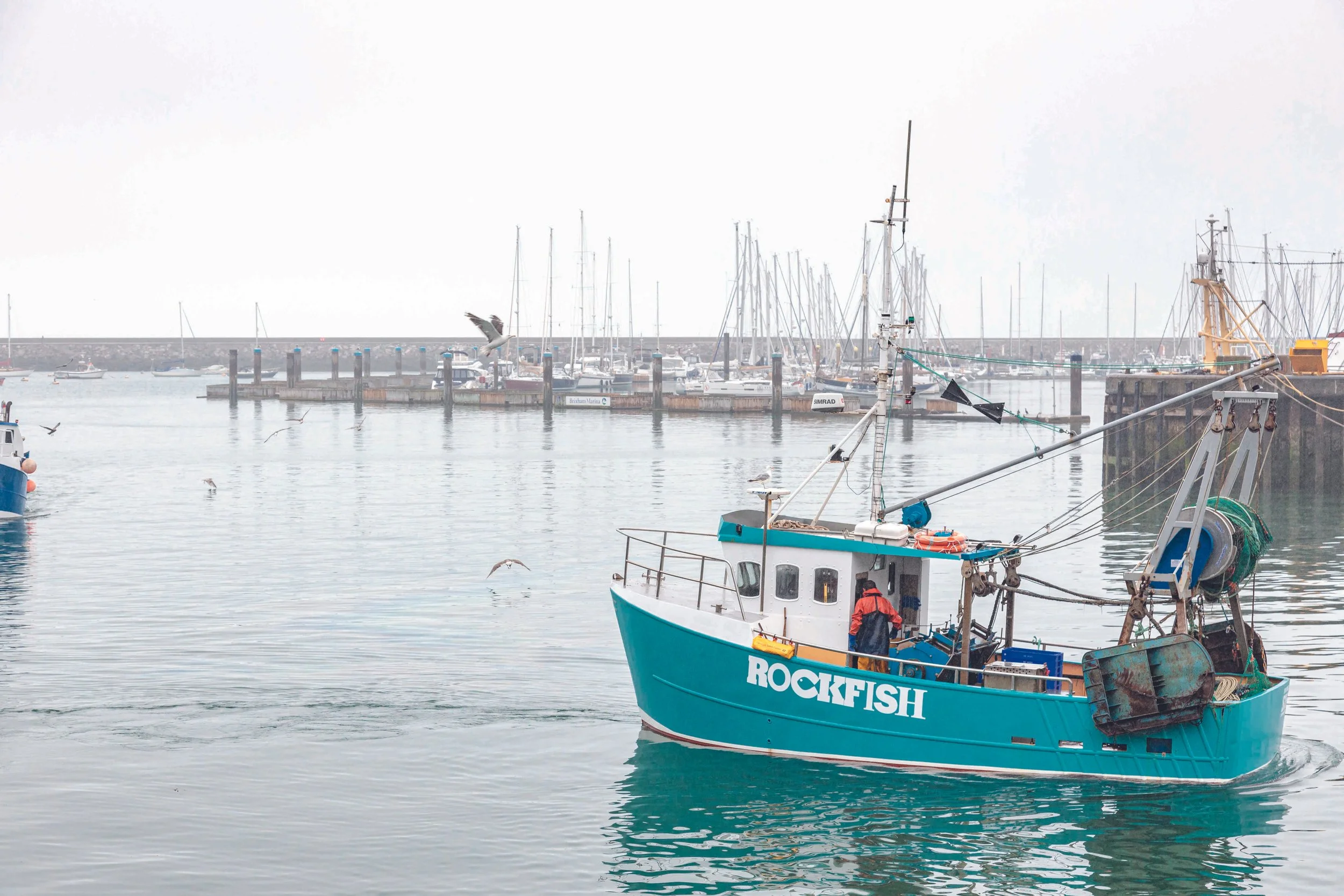 Rockfish, Devon ⓒ Ed Ovenden