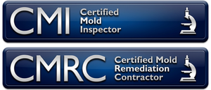 Penobscot Cleaning is certified for Mold Inspections and is a certified for Mold Remediation Contractor