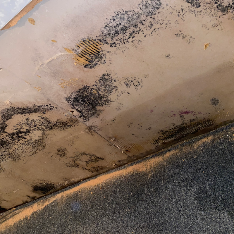 Dangerous black mold growing on ceiling in sheetrock - Penobscot cleaning job in Corinth Maine