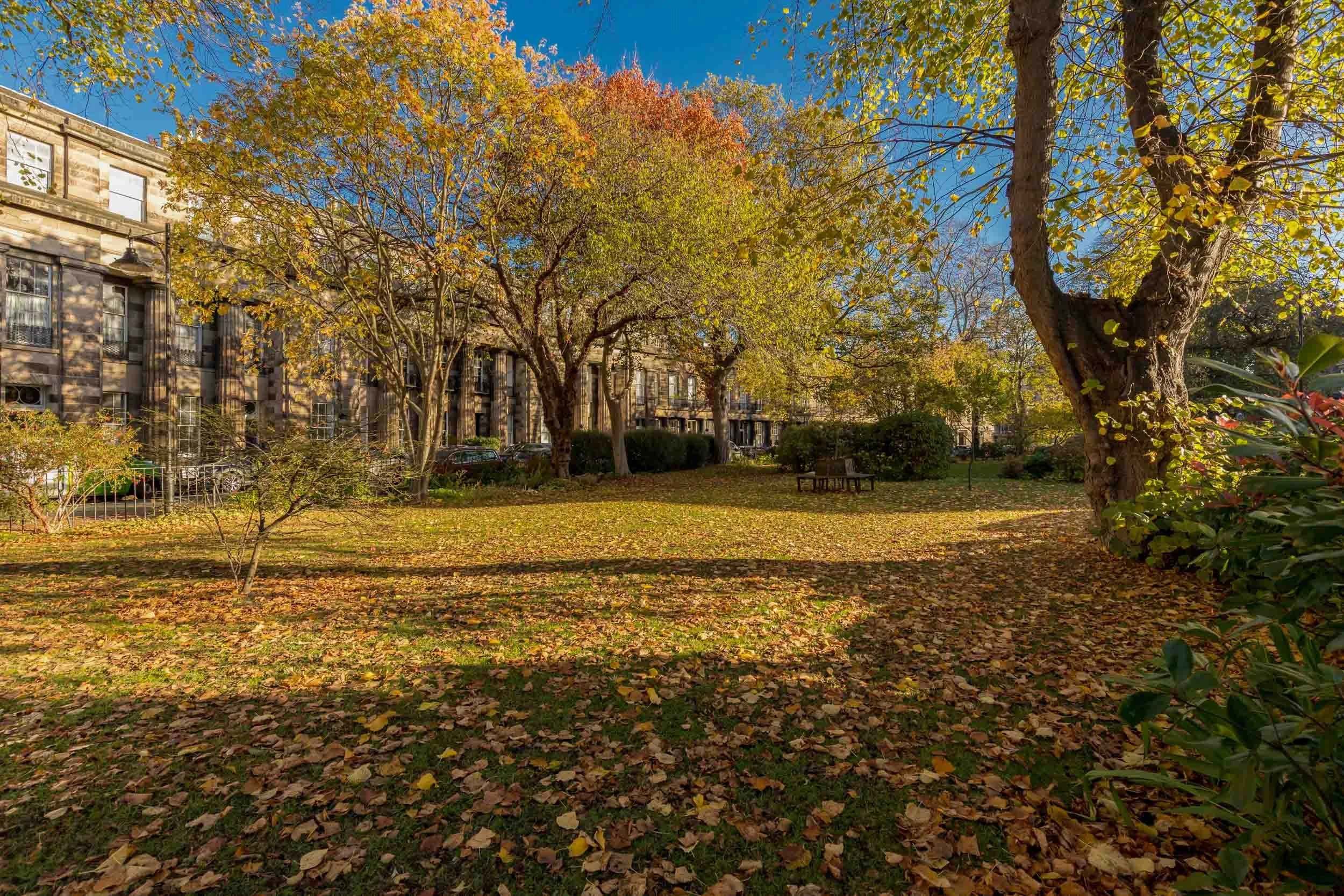 A park with fallen leaves on the grass, trees with yellow and green leaves, and a building in the background on a bright sunny day.
