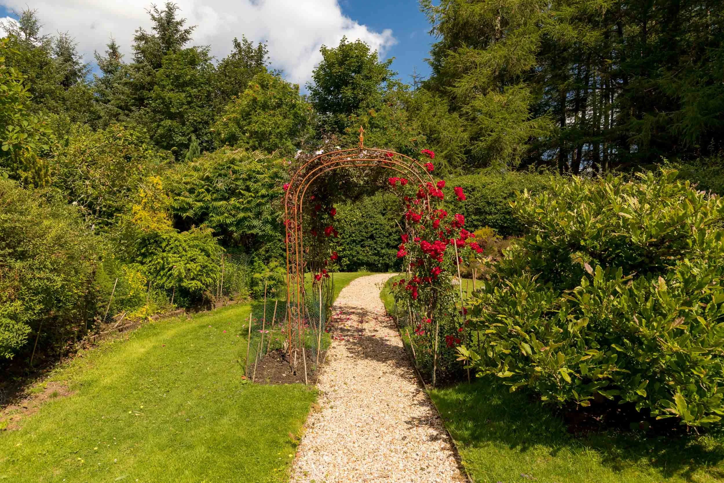 A garden pathway with a gravel trail, surrounded by green bushes and trees. There is a metal archway with climbing red roses creating an inviting entrance.