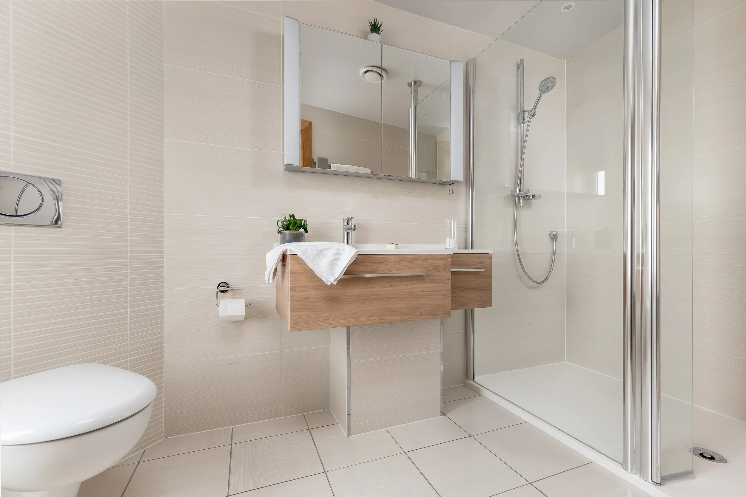 Modern bathroom with a walk-in shower, a wooden vanity with a mirror, a potted plant, and a toilet.