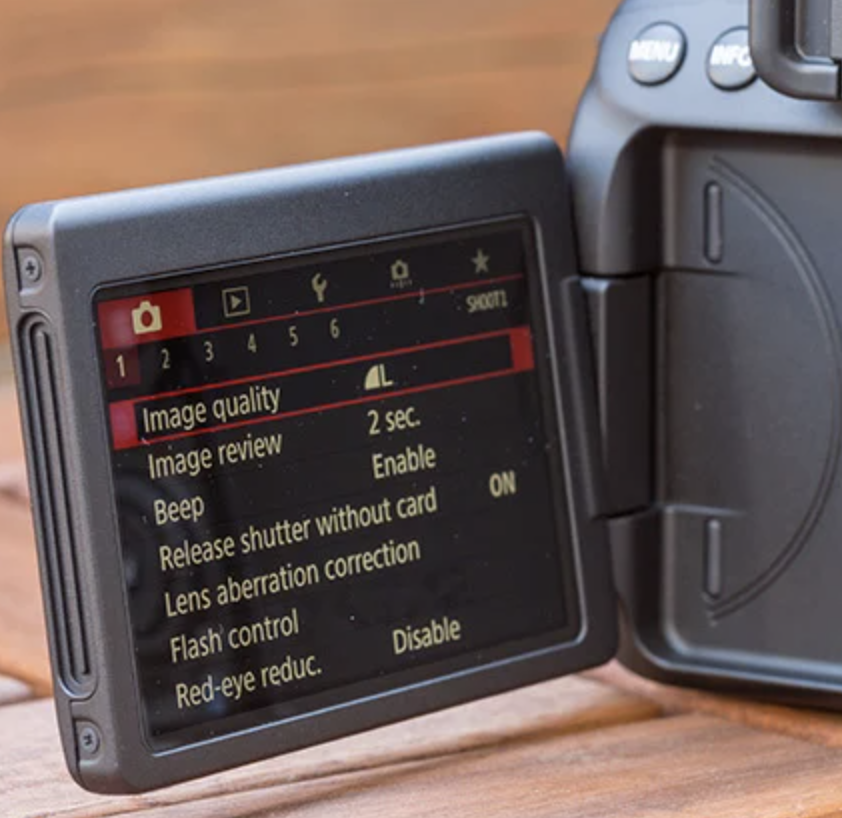 The Best Camera Body for a Beginner and Why