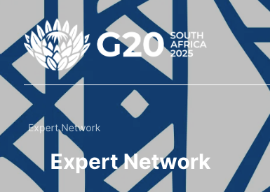 G20 South Africa 2025 logo with a lotus flower and geometric background, and the words "Expert Network"