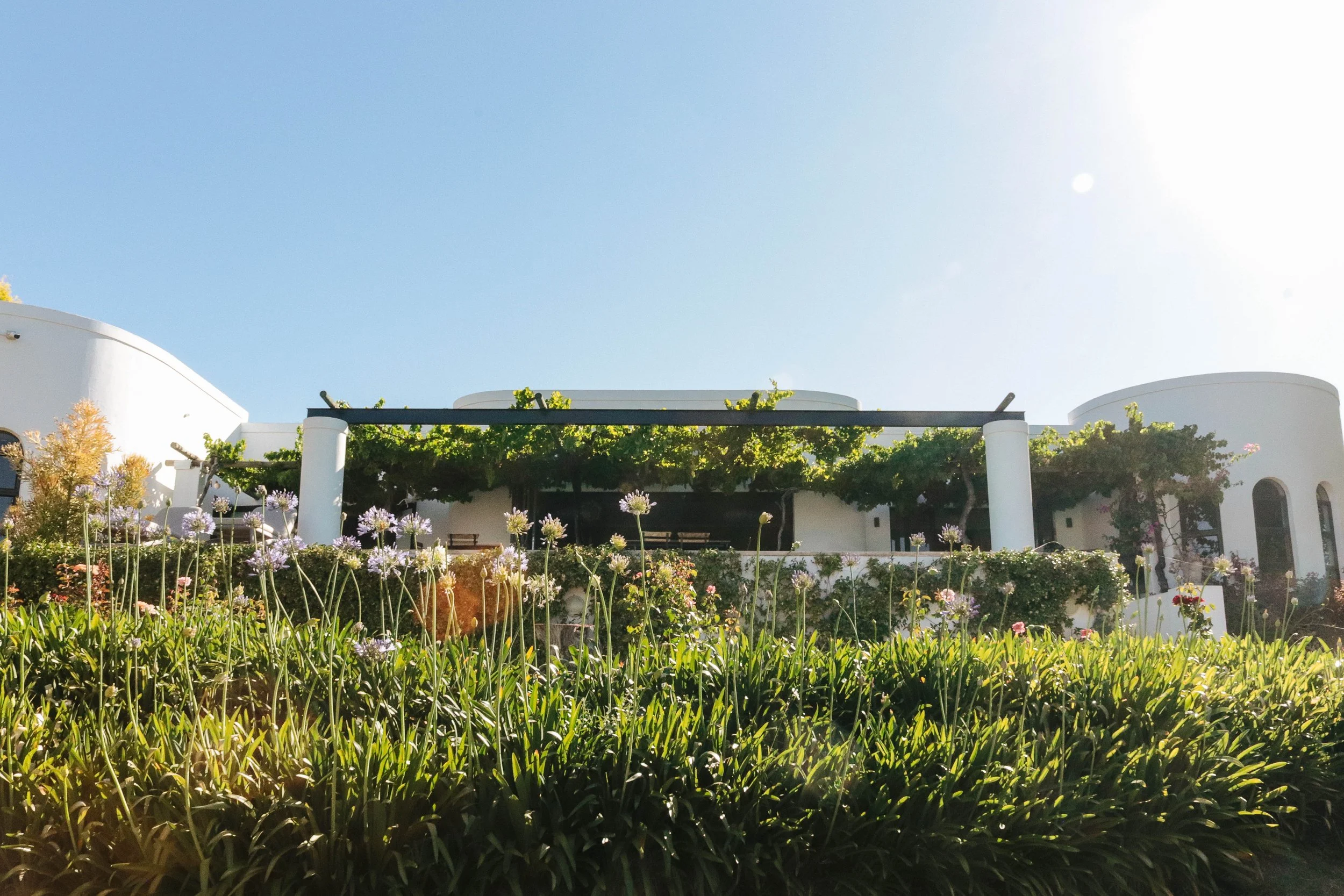 White modern house with arched windows and a balcony surrounded by green plants and purple flowers, under a clear blue sky.