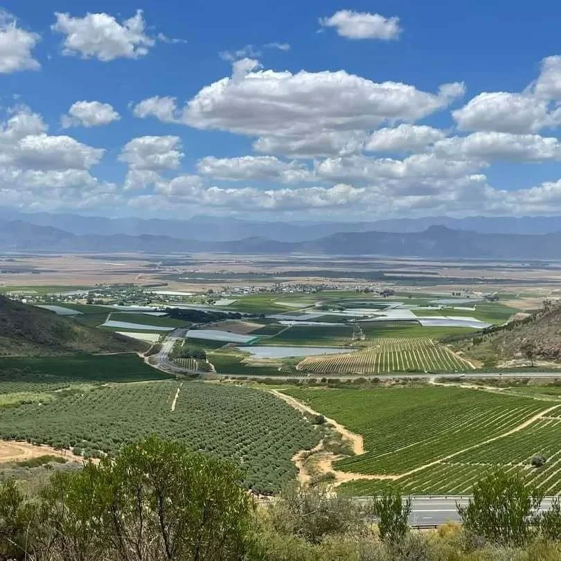 Vast agricultural landscape with various green crops, fields covered with greenhouses, and winding dirt roads in a valley under a partly cloudy sky.