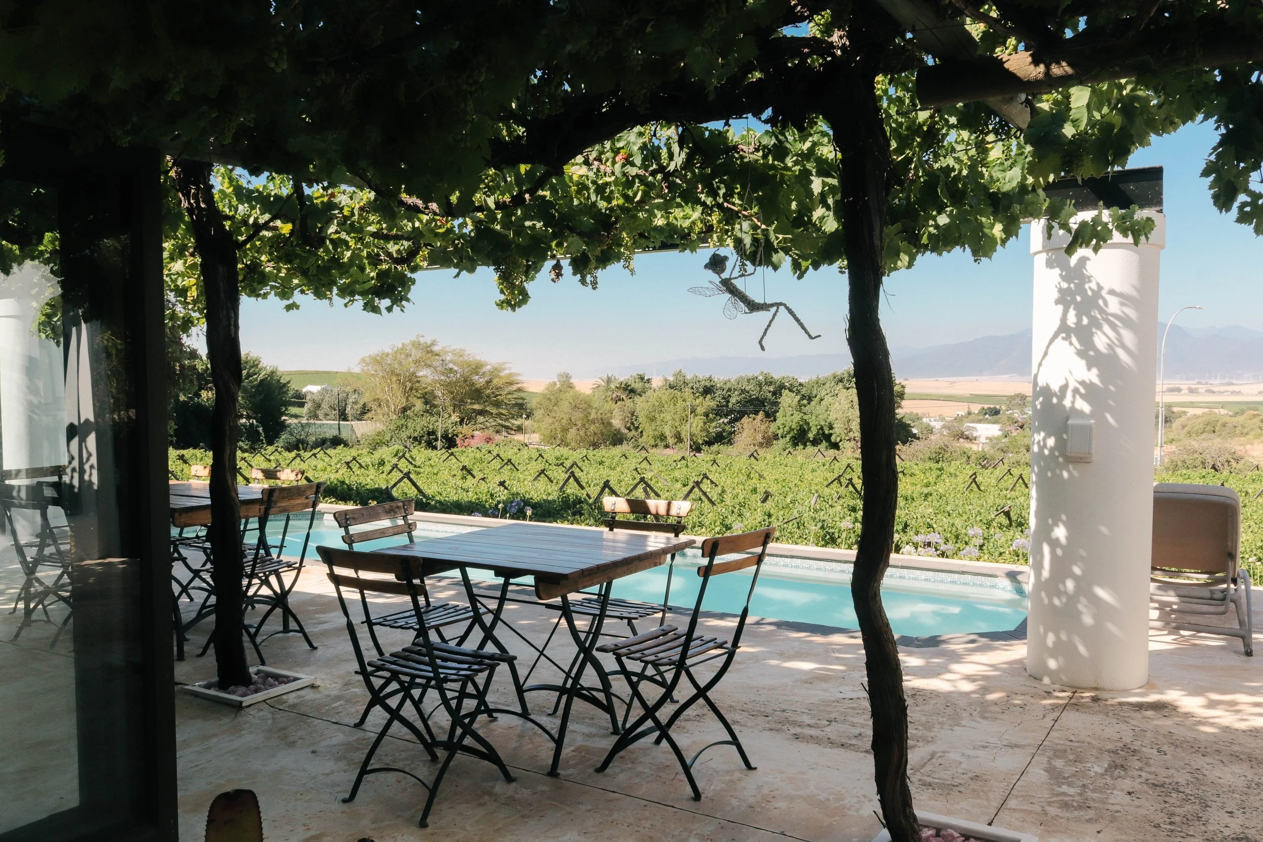 Outdoor patio with table and chairs under a vine-covered pergola, overlooking a vineyard and distant mountains.