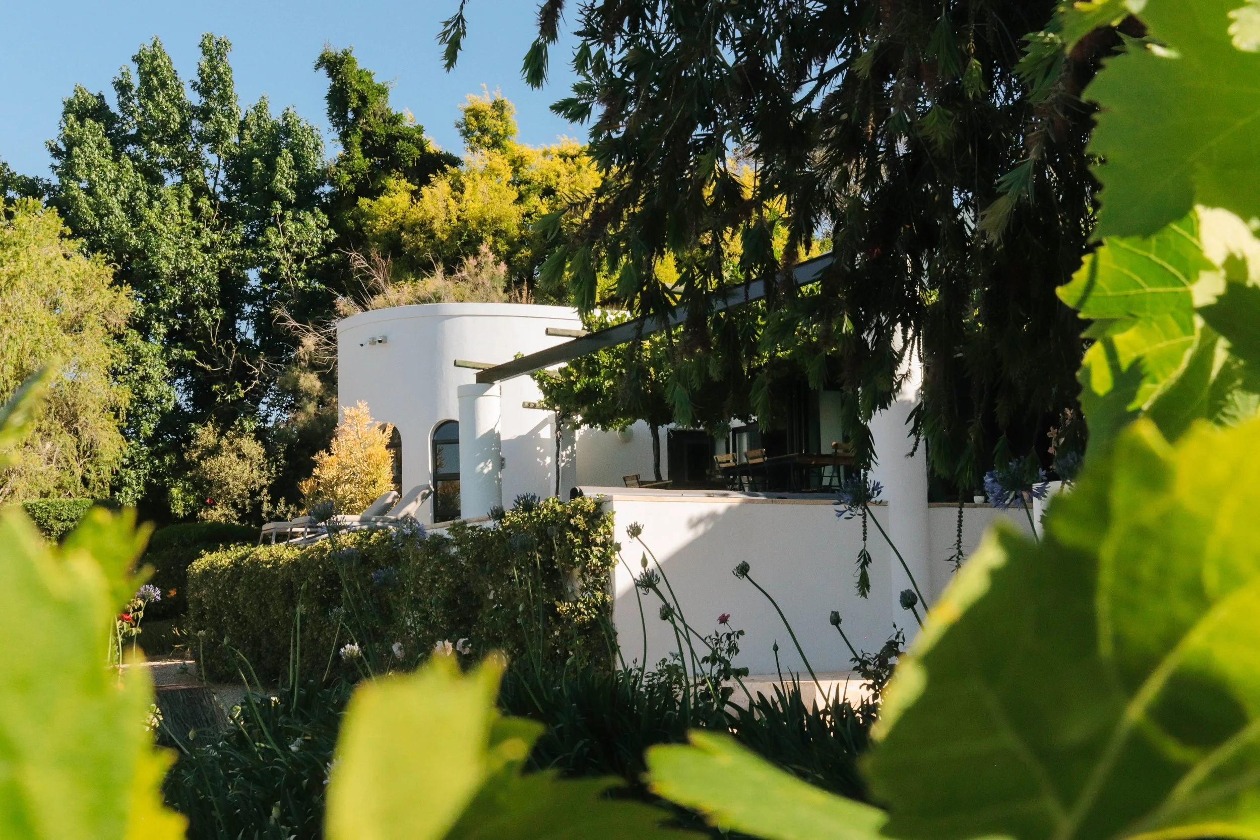 A modern white house with curved architecture, surrounded by lush green trees and plants, with a patio area visible.