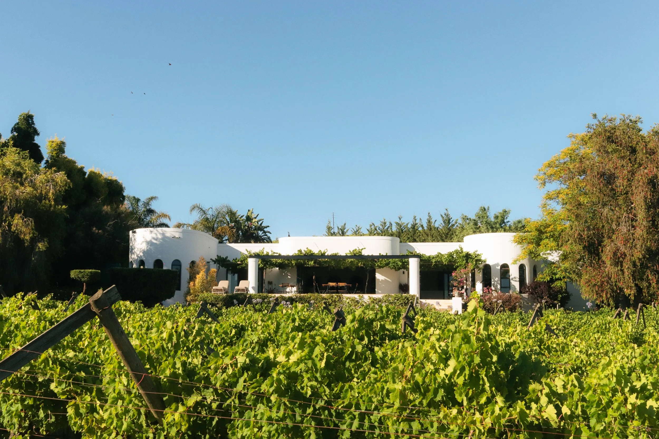 A modern white house with a flat roof and arched windows, surrounded by lush trees and greenery, with a vineyard in the foreground and a clear blue sky above.