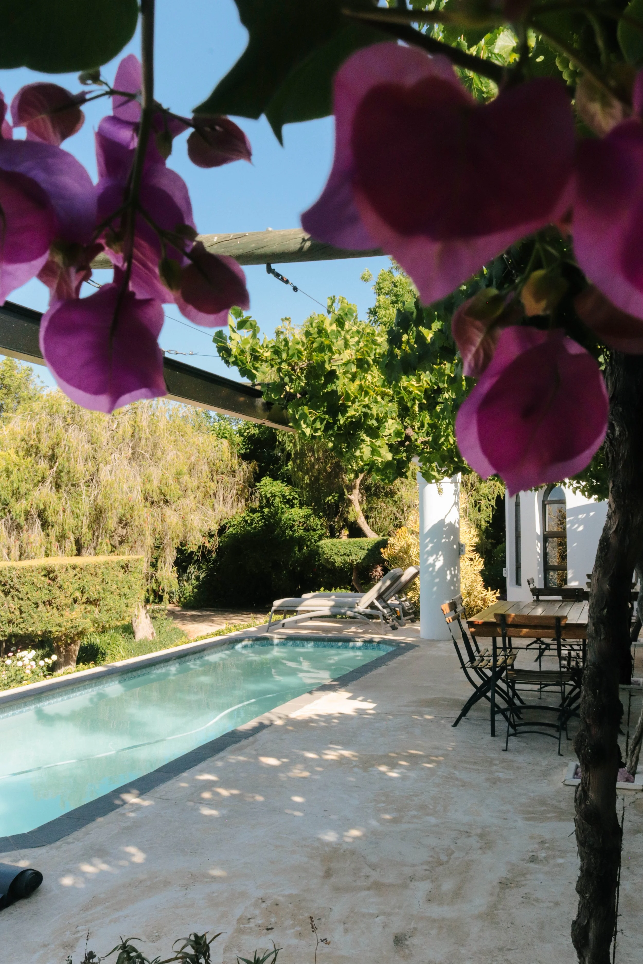A backyard with a swimming pool, outdoor table and chairs, and pink flowering plants in the foreground.