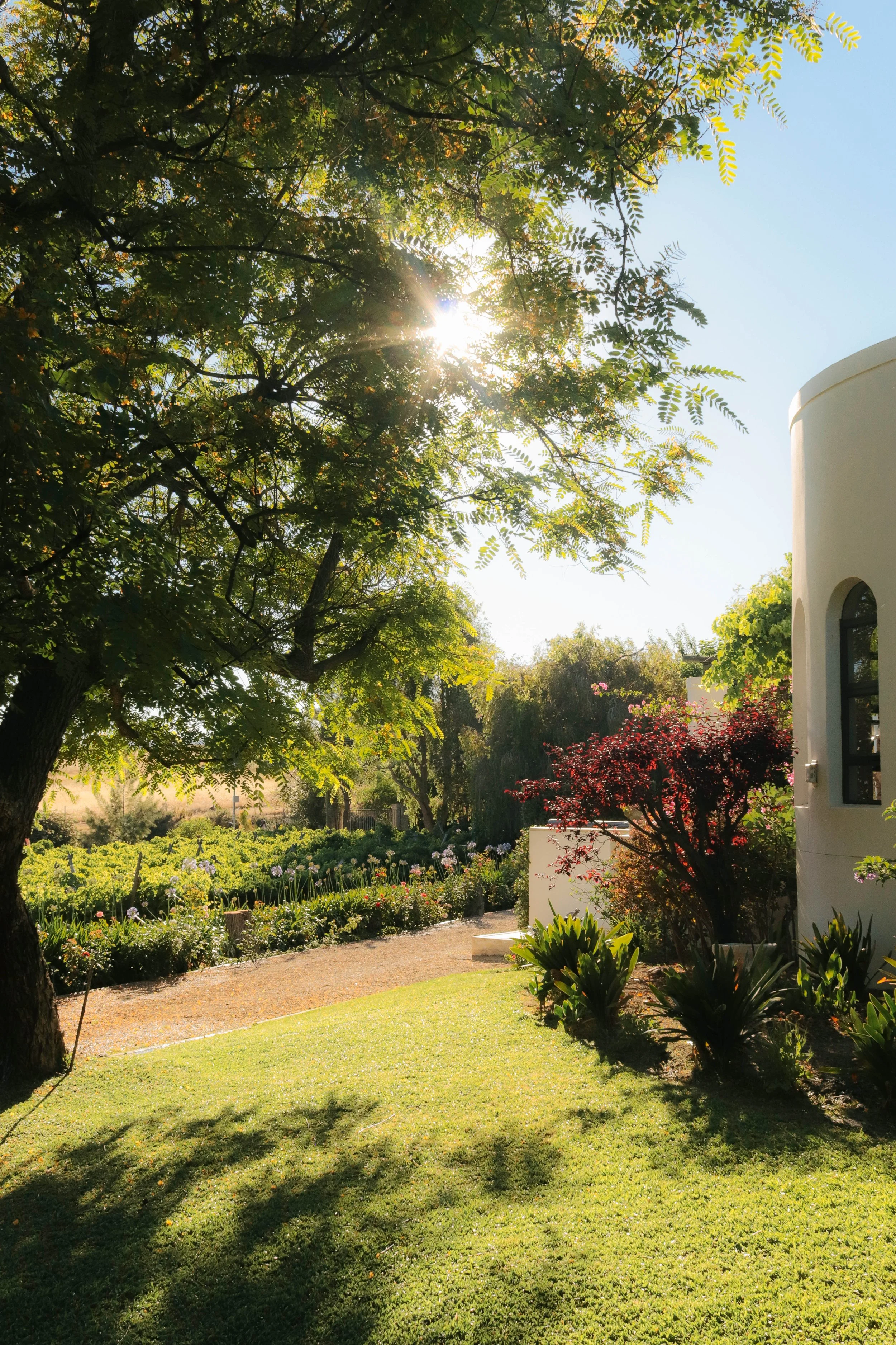 A sunny garden scene with trees, flowering bushes, and a white building with curved walls, sunlight shining through the leaves, and a well-kept lawn.