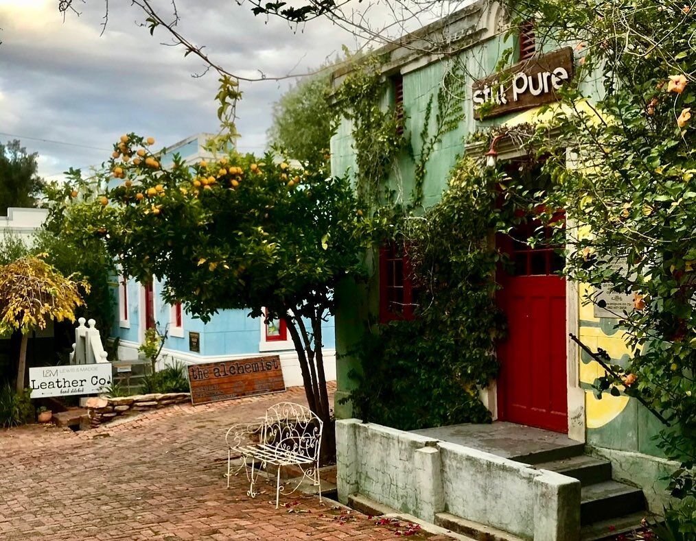 Colorful storefront with a red door, green plants, and a vintage white bench outside. Signs read 'the alchemist' and 'Leather Co.' with a sign above the door saying 'Salt Pure.'