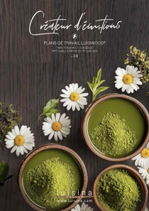 Page de couverture d'un livre ou d'une brochure avec des fleurs de marguerite, deux bols contenant une poudre verte, et du texte en français.