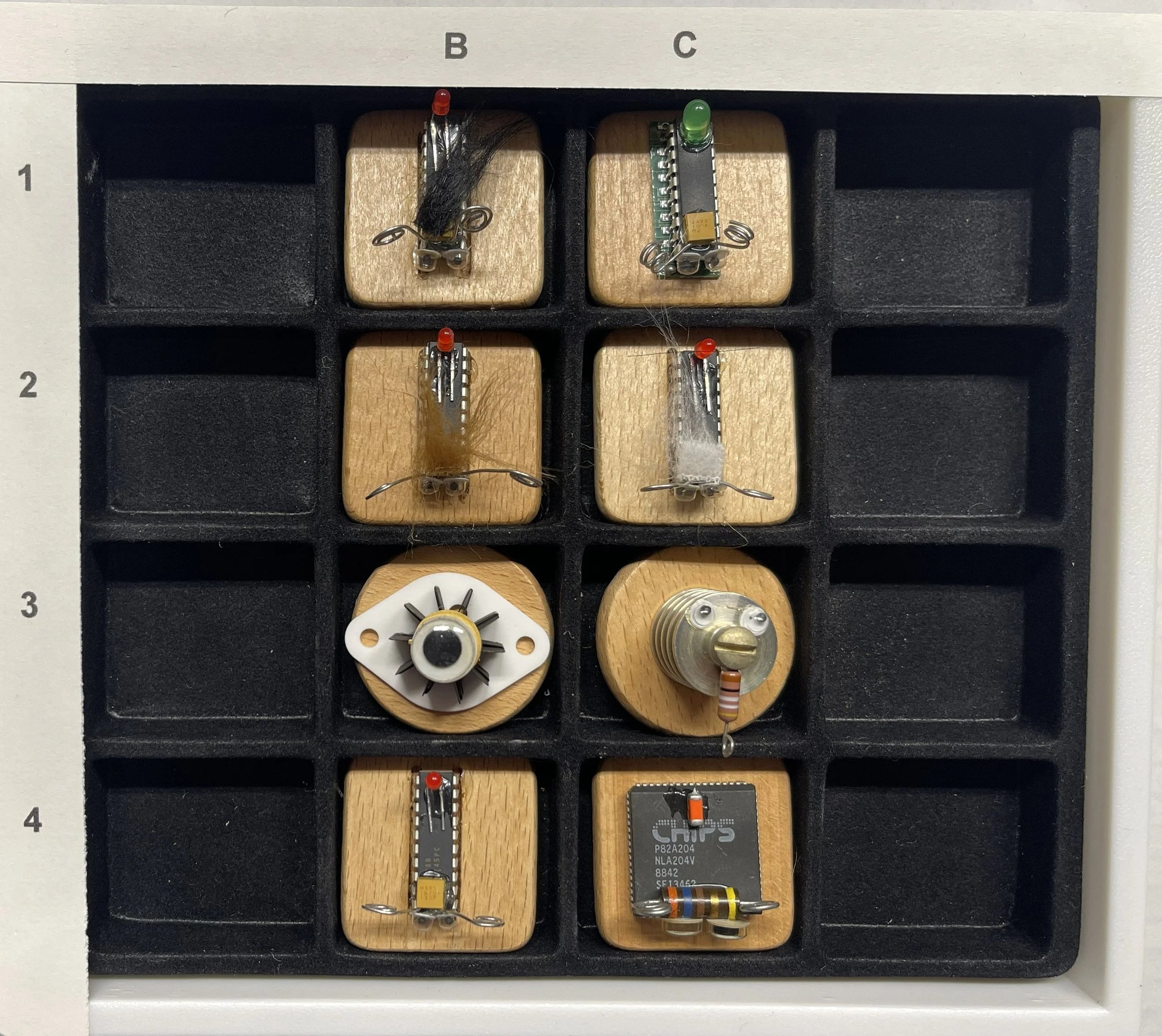 Computer Bug