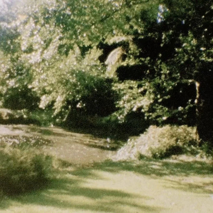 @bianca20370 for @withlovebymallika on #super8film 🎞️ ⭐️
Hmua @erinshanley.hair 💫