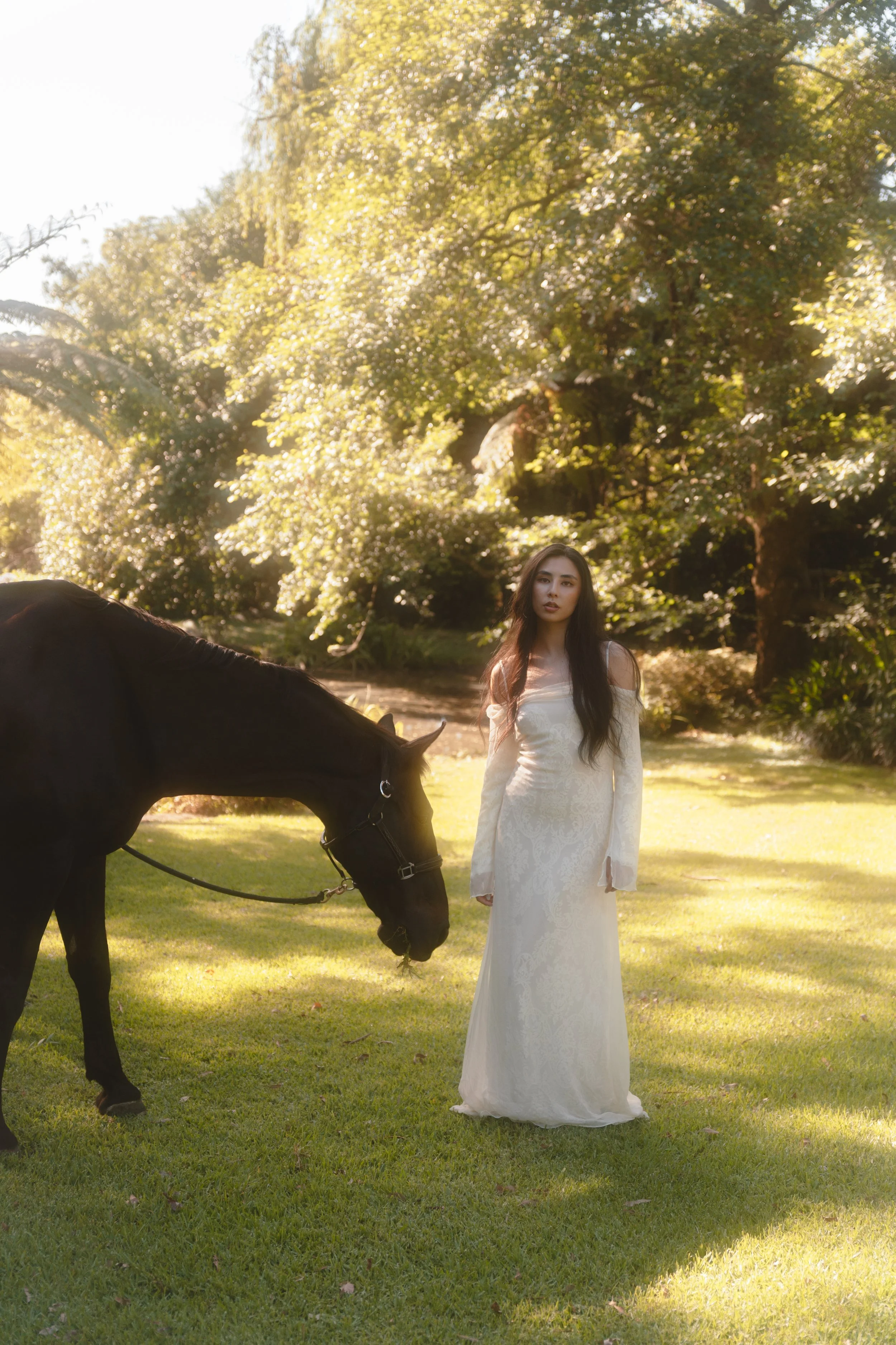 A woman in a white dress standing on grass next to a black horse in a park with trees in the background and sunlight filtering through the leaves.