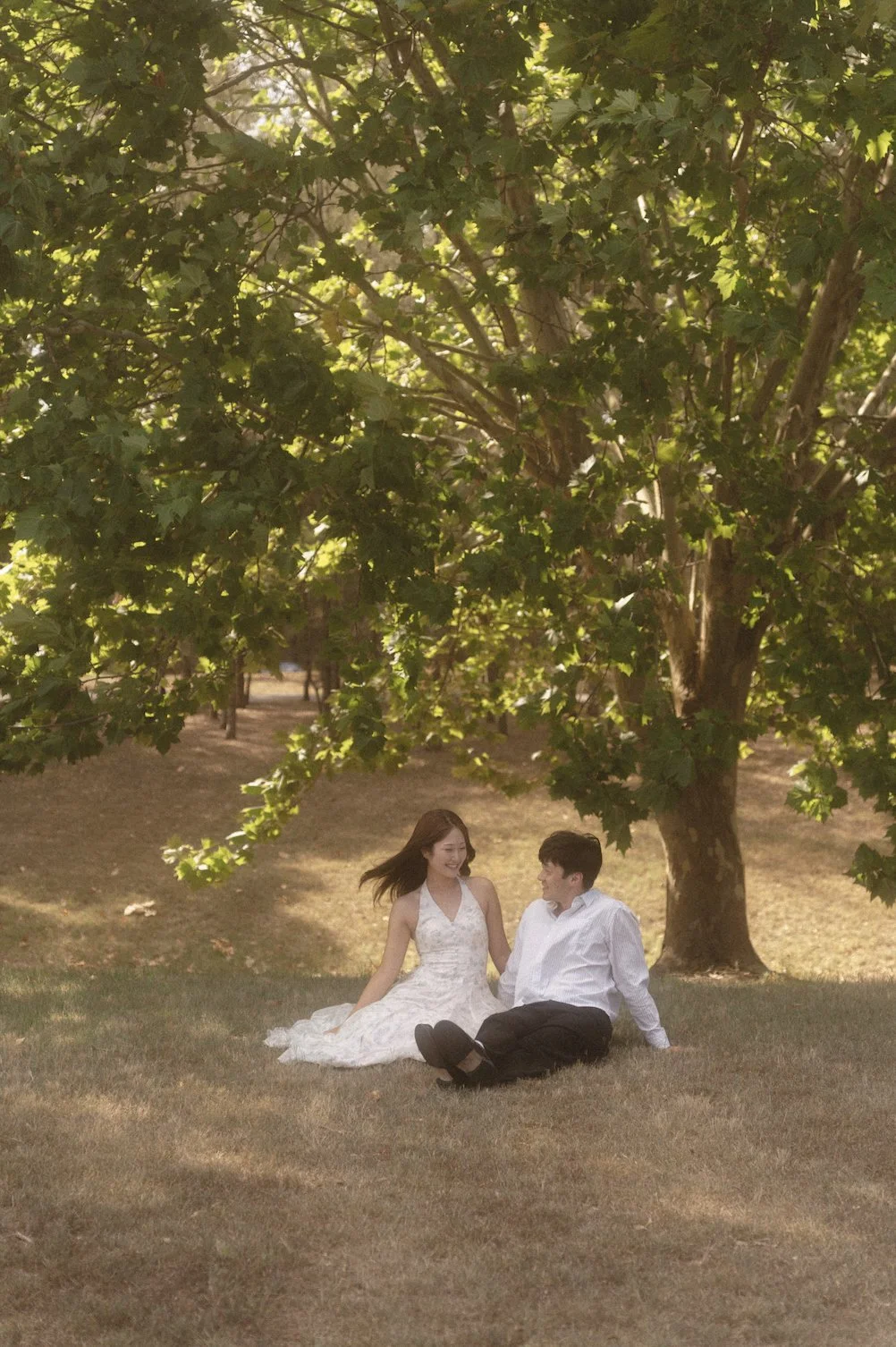 A couple sitting on the grass under a large leafy tree, smiling and looking at each other, in a park setting during daytime.