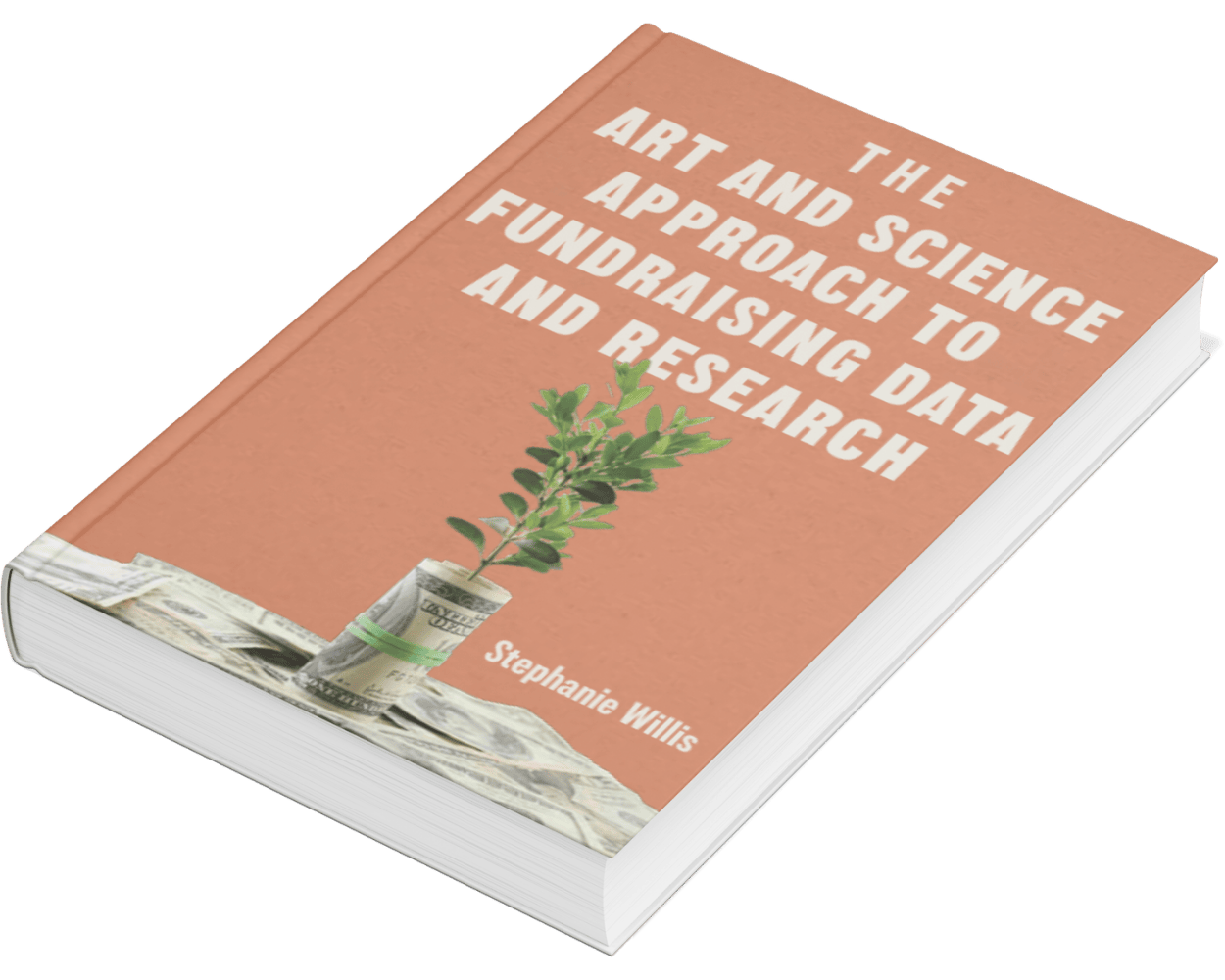 A book titled 'The Art and Science of Approaching to Fundraising Data and Research' by Stephanie Willis, featuring a cover image of a sprouting plant wrapped in dollar bills.