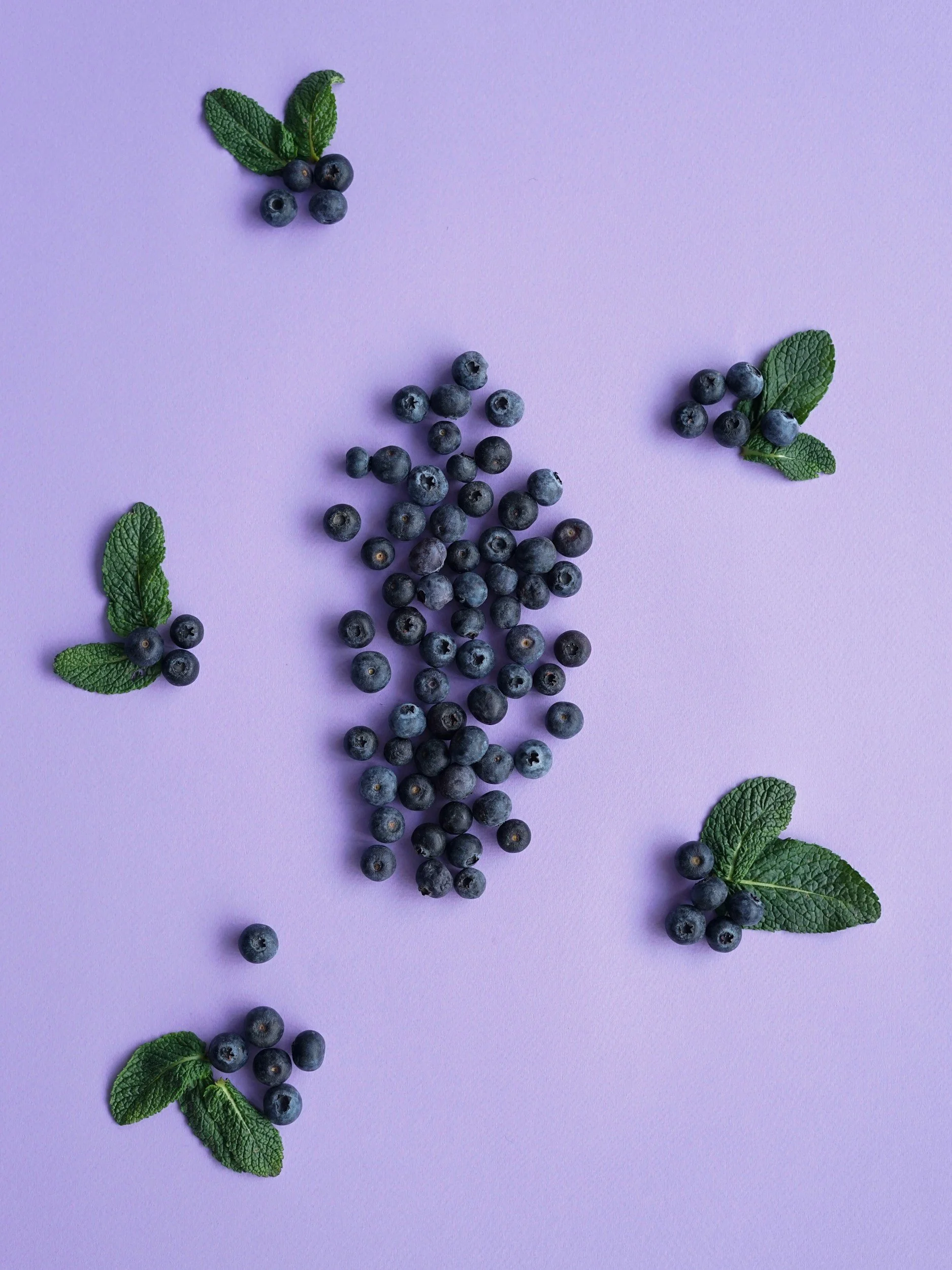 blueberries on a lilac background
