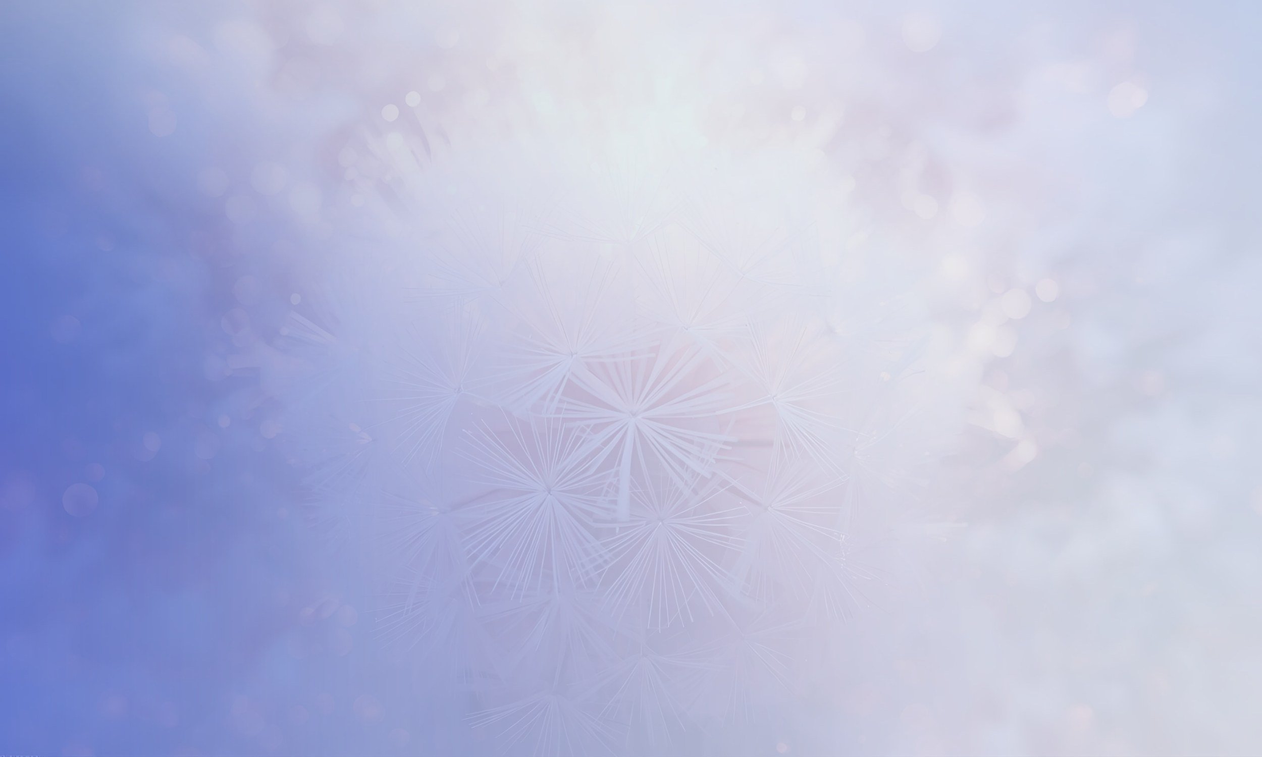 Close-up of a frost-covered window with a dandelion seed head pattern, against a blurred snowy background.
