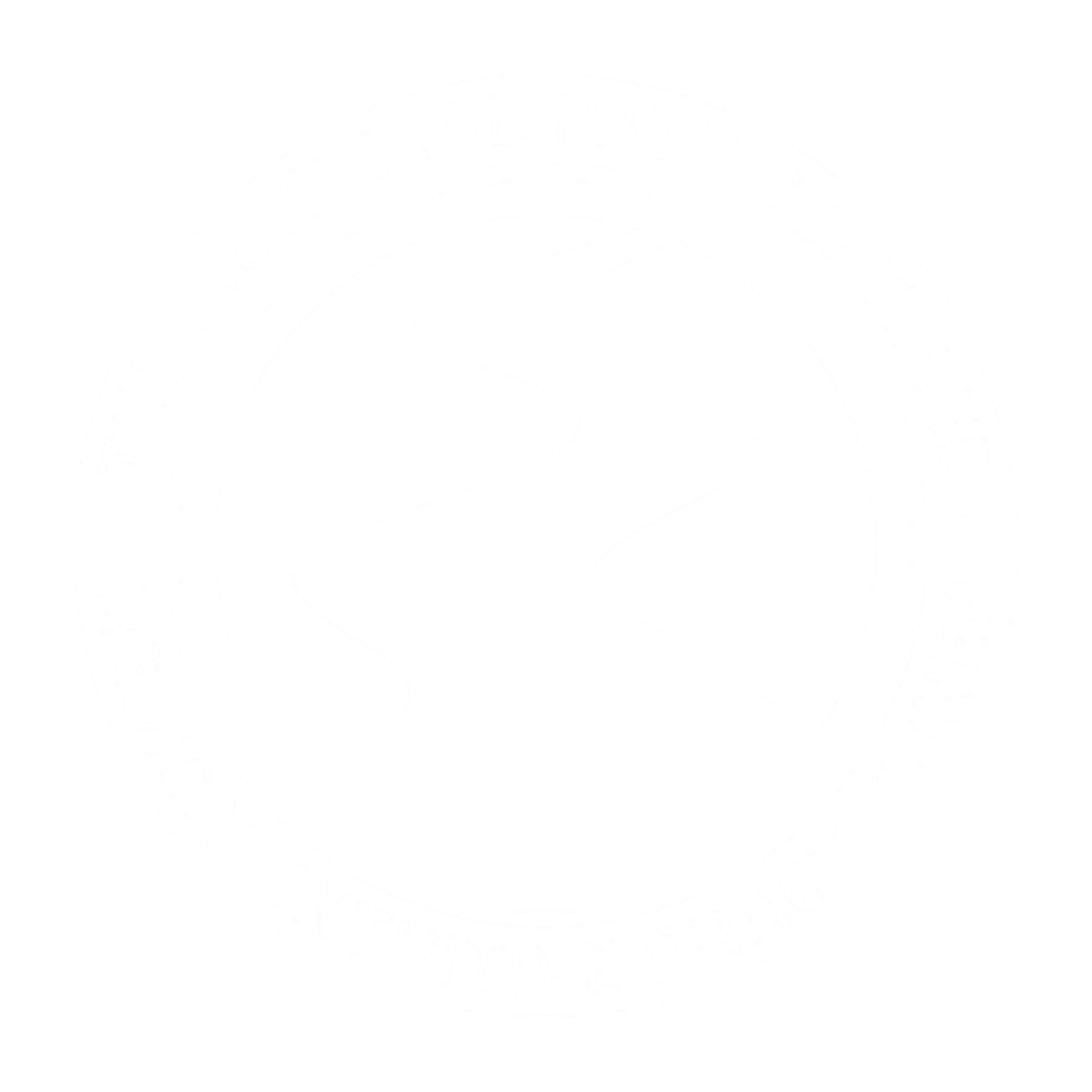Sherri Kozubal The Practical Path Certified Medical Intuitive Practitioner
