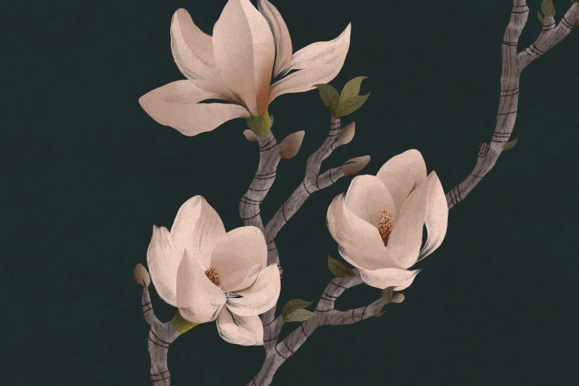 Flora
