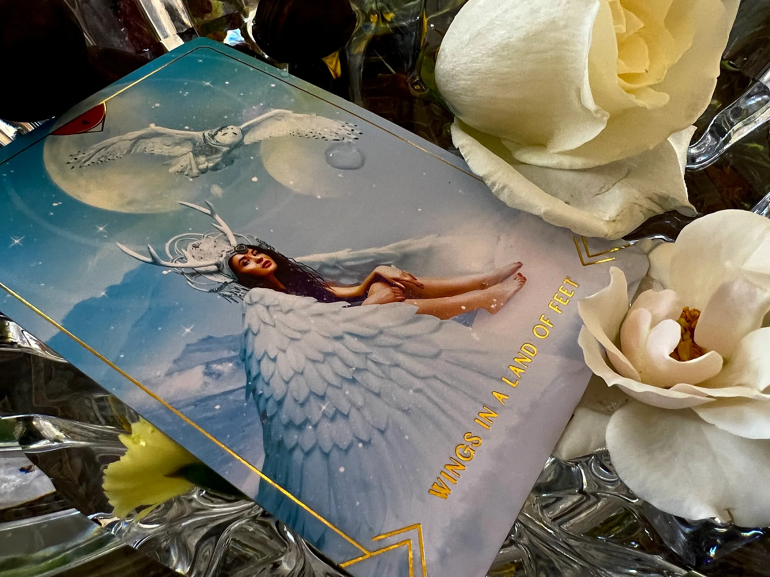 A book titled 'Wings in a Land of Feet' with a fantasy illustration of a woman with wings and antlers lying on a cloud, surrounded by white flowers.