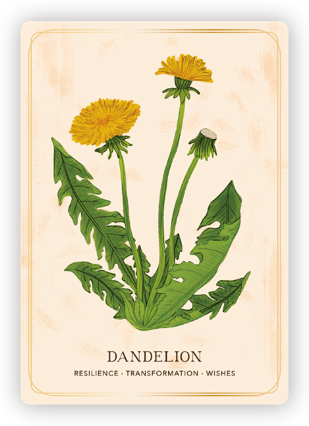Illustration of a dandelion plant with yellow flowers and green leaves, some flowers in bloom and some in seed stage, labeled 'Dandelion' with words 'Resilience, Transformation, Wishes' underneath.