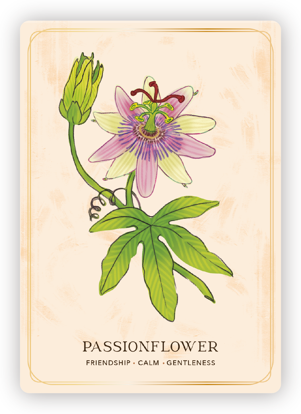 Illustration of a passionflower plant with a pink and purple flower, a green leaf, and a green bud, titled 'Passionflower' with words 'Friendship, Calm, Gentleness'.