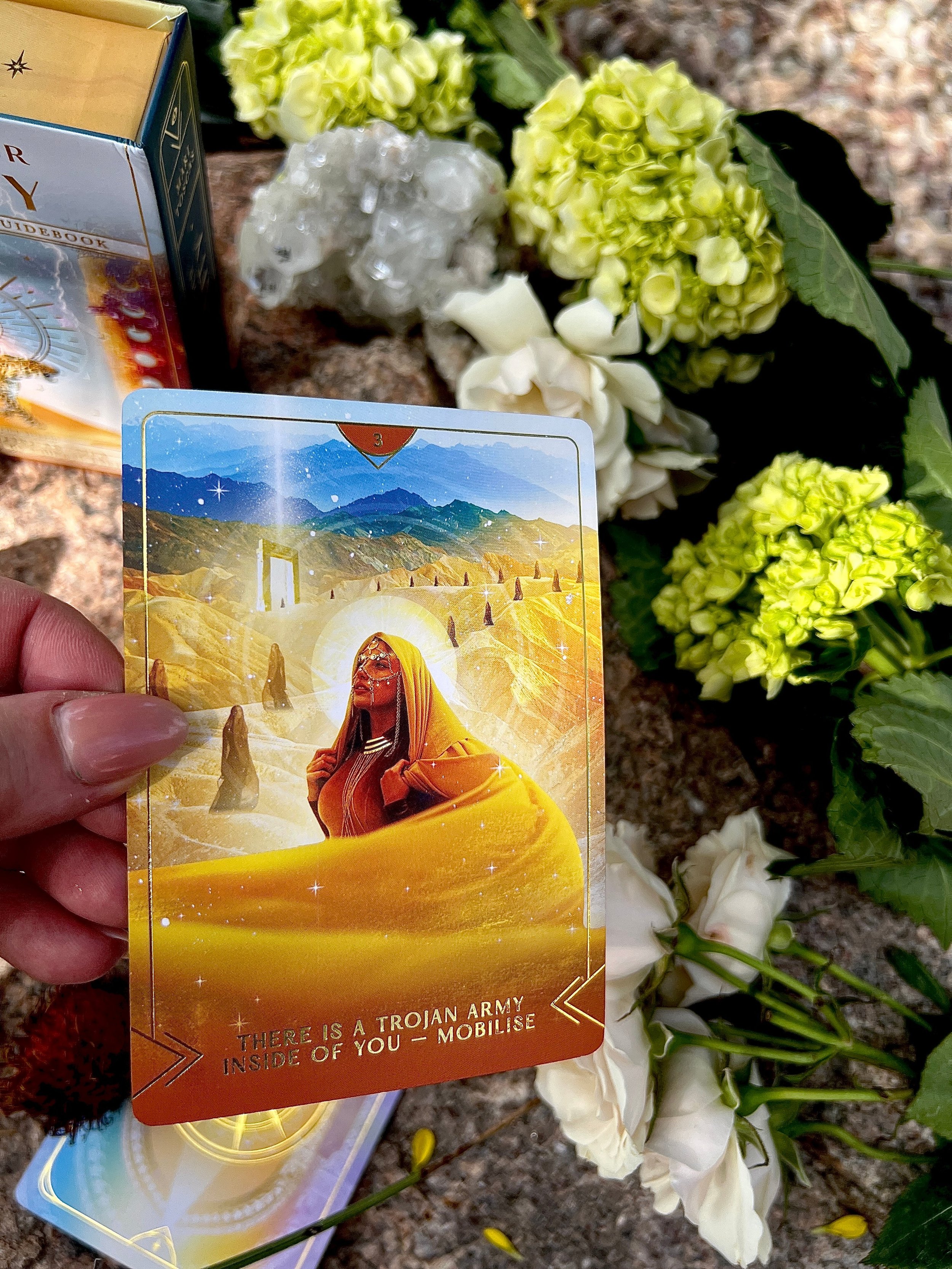 A tarot card featuring a woman with long hair wearing a necklace, set against a desert landscape with mountains and a framed portal in the background. The card includes the caption 'There is a Trojan army inside of you - Mobilise.' The card is held b