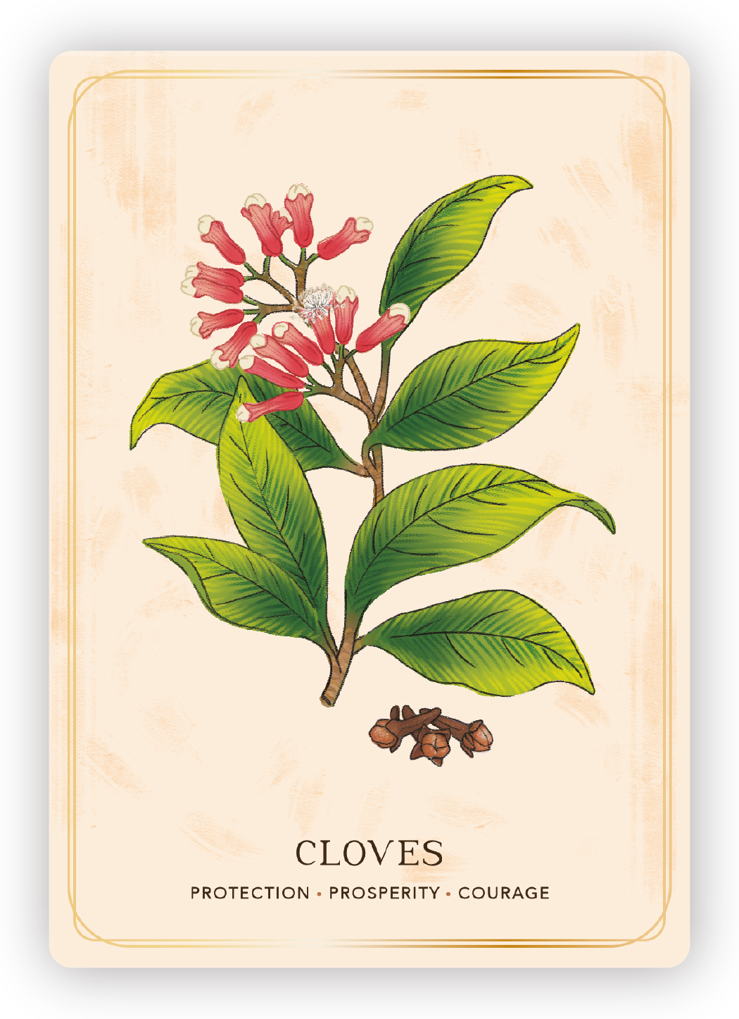 Illustration of a branch of the clove plant with green leaves, pink flowers, and a cluster of cloves at the bottom. Text at the bottom reads "Cloves" with the words "Protection, Prosperity, Courage" underneath.